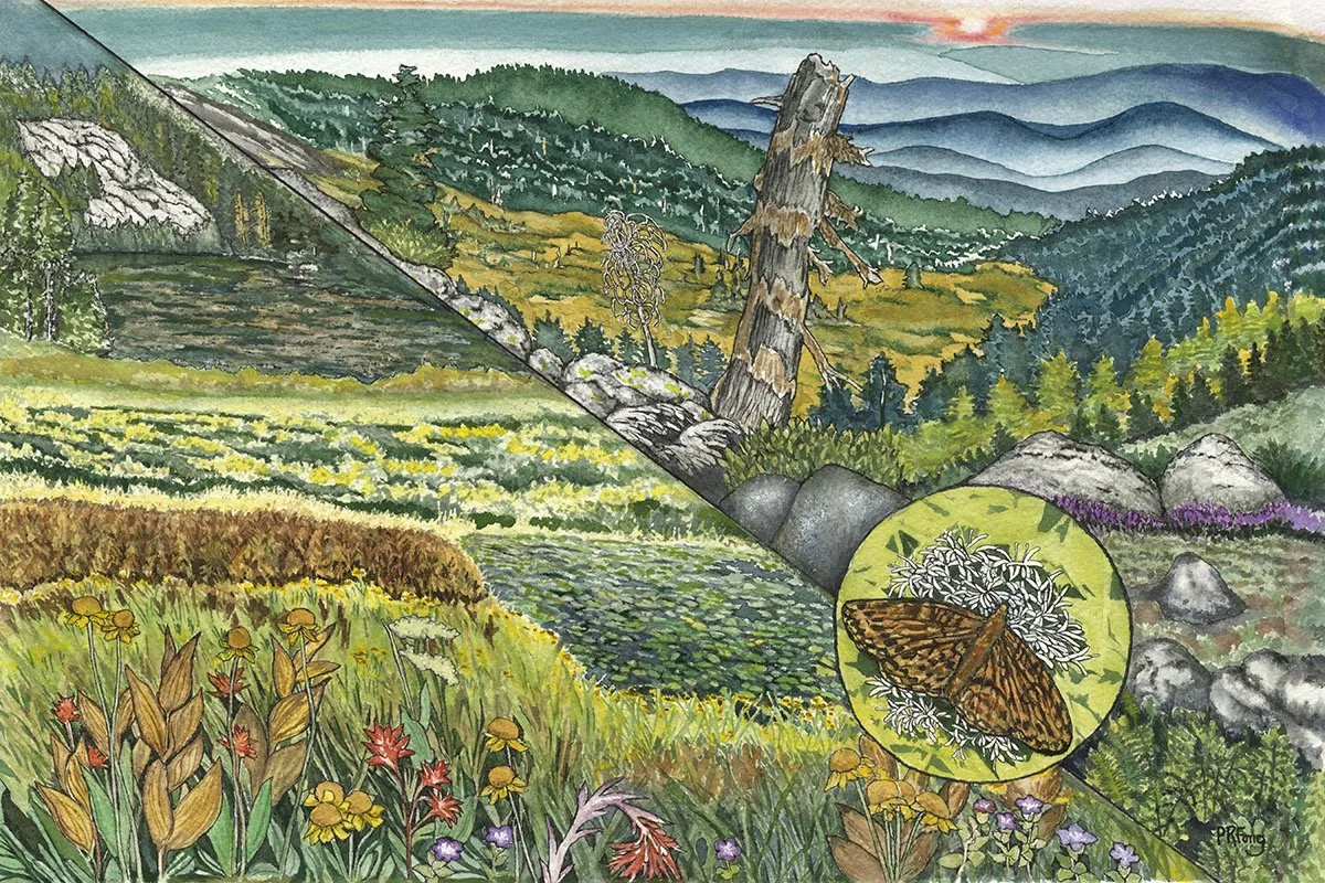 June First Friday: "Habitats Across Oregon" by Paula Fong