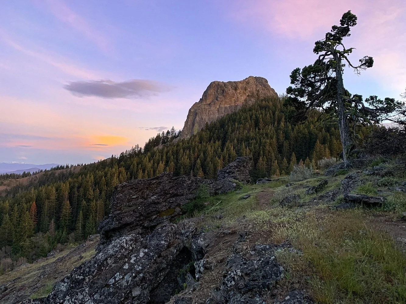 May First Friday with Friends of Cascade-Siskiyou National Monument: A retrospective of the last decade