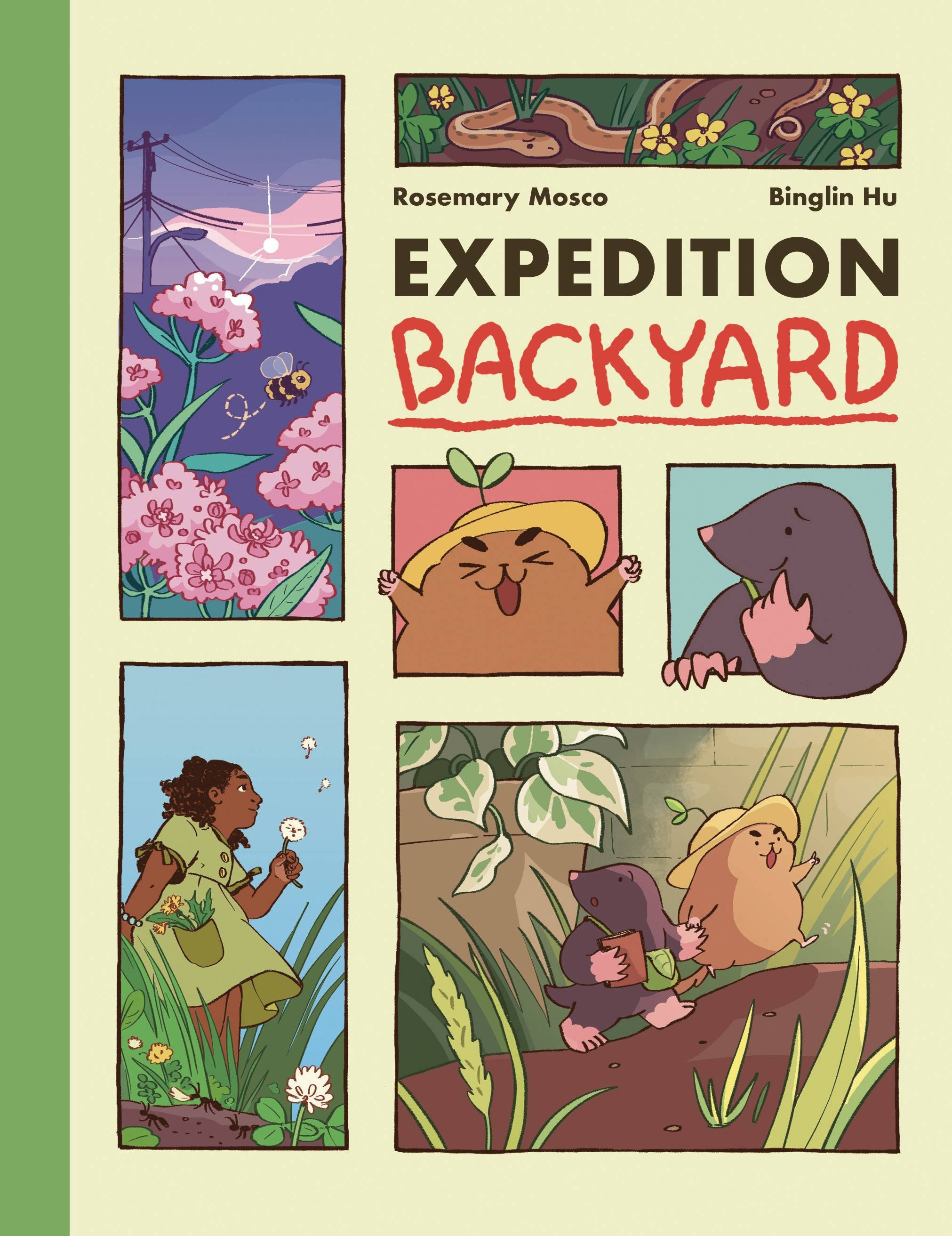 Expedition Backyard.jpg