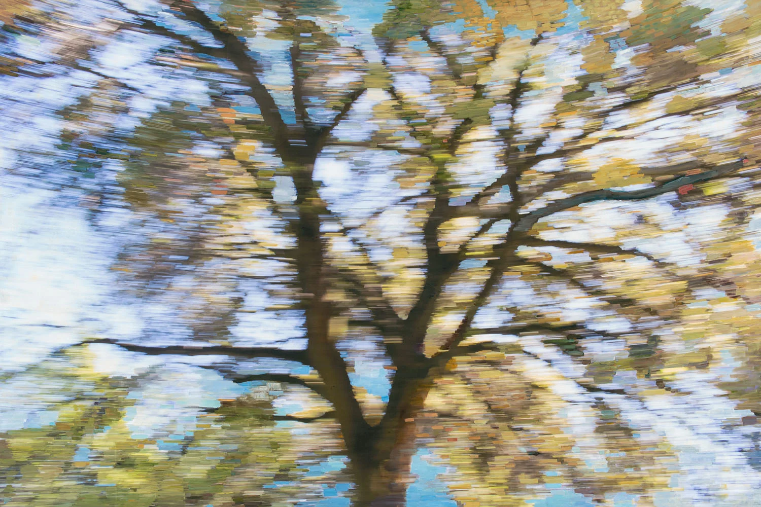 THE SKY EXPLODES (WITH LIGHT) • oil and archival print on canvas • 48 by 72 inches • 2016