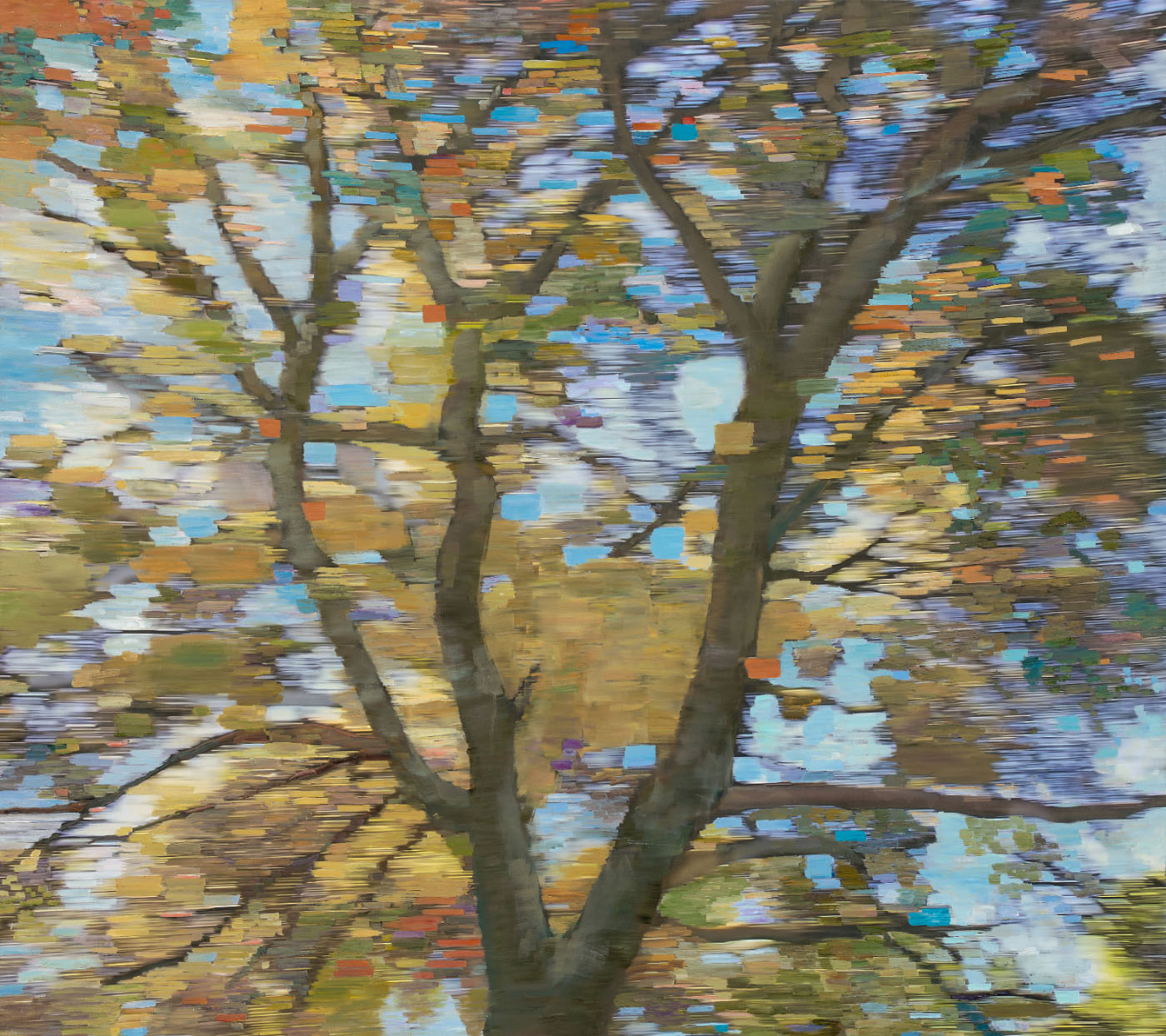 CHABOT OAK &nbsp;• &nbsp;oil and archival print on canvas &nbsp;• &nbsp;44 by 48 inches &nbsp;• &nbsp;2016