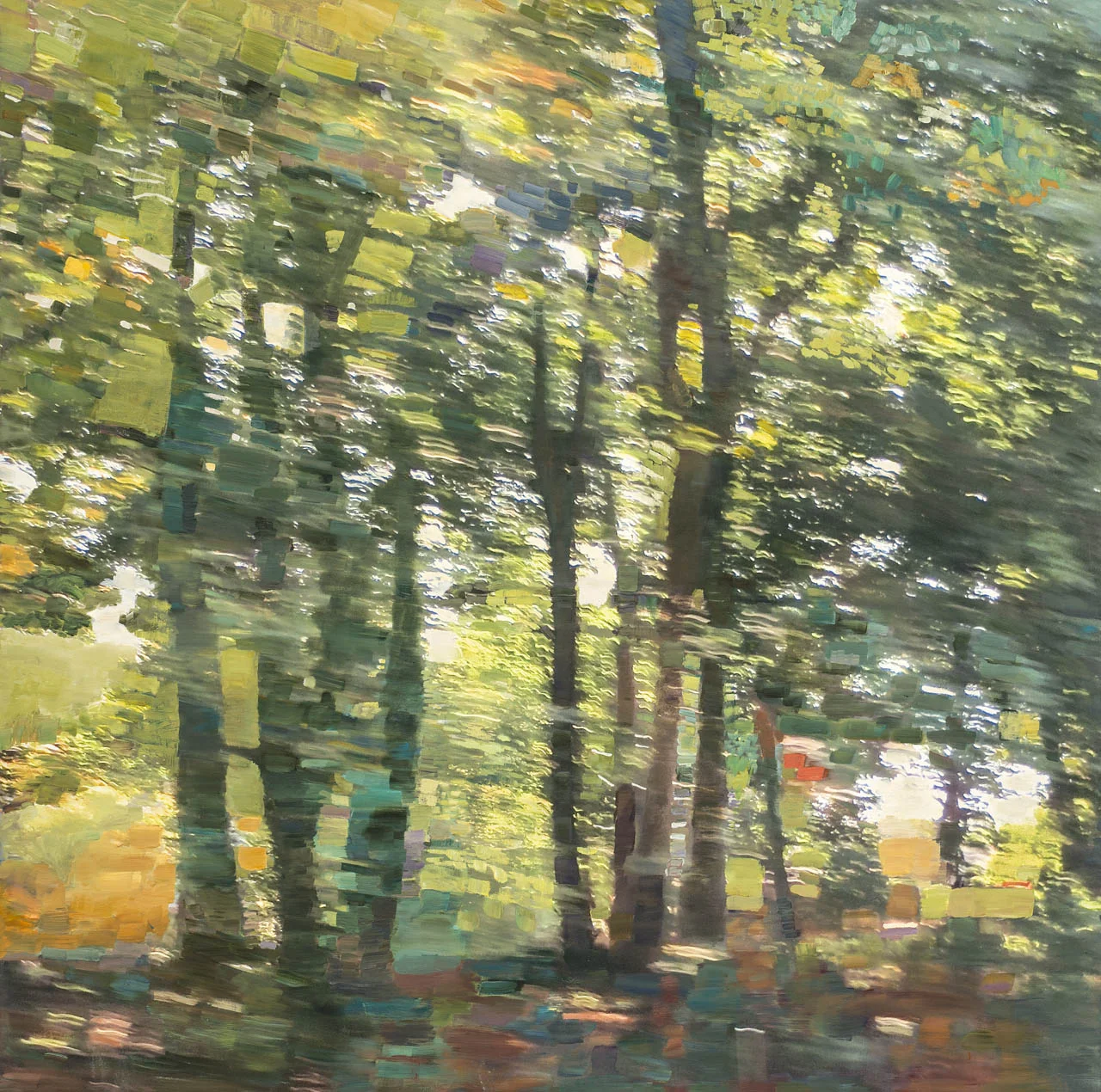 OVER NEAR &nbsp;• &nbsp;oil and archival print on canvas &nbsp;• &nbsp;44 by 44 inches &nbsp;• &nbsp;2014