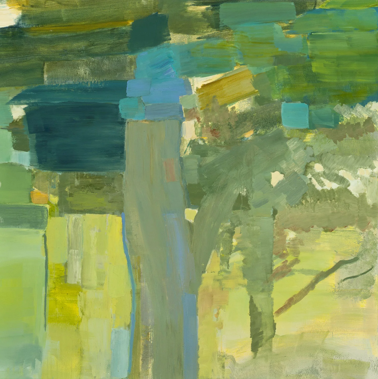 PACIFIC GROVE, SHADOW &nbsp;• &nbsp;oil on canvas &nbsp;• &nbsp;36 by 36 inches &nbsp;• &nbsp;2011