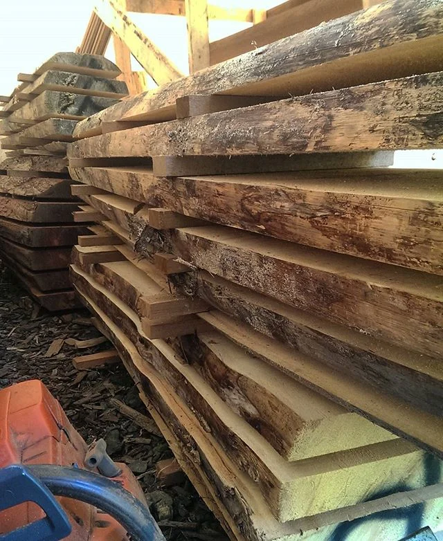 One of the richest scents on earth. Fresh milled yellow cedar. stacked &amp; stickered.#salvage#woodworking#yellow#cedar#husqvarna