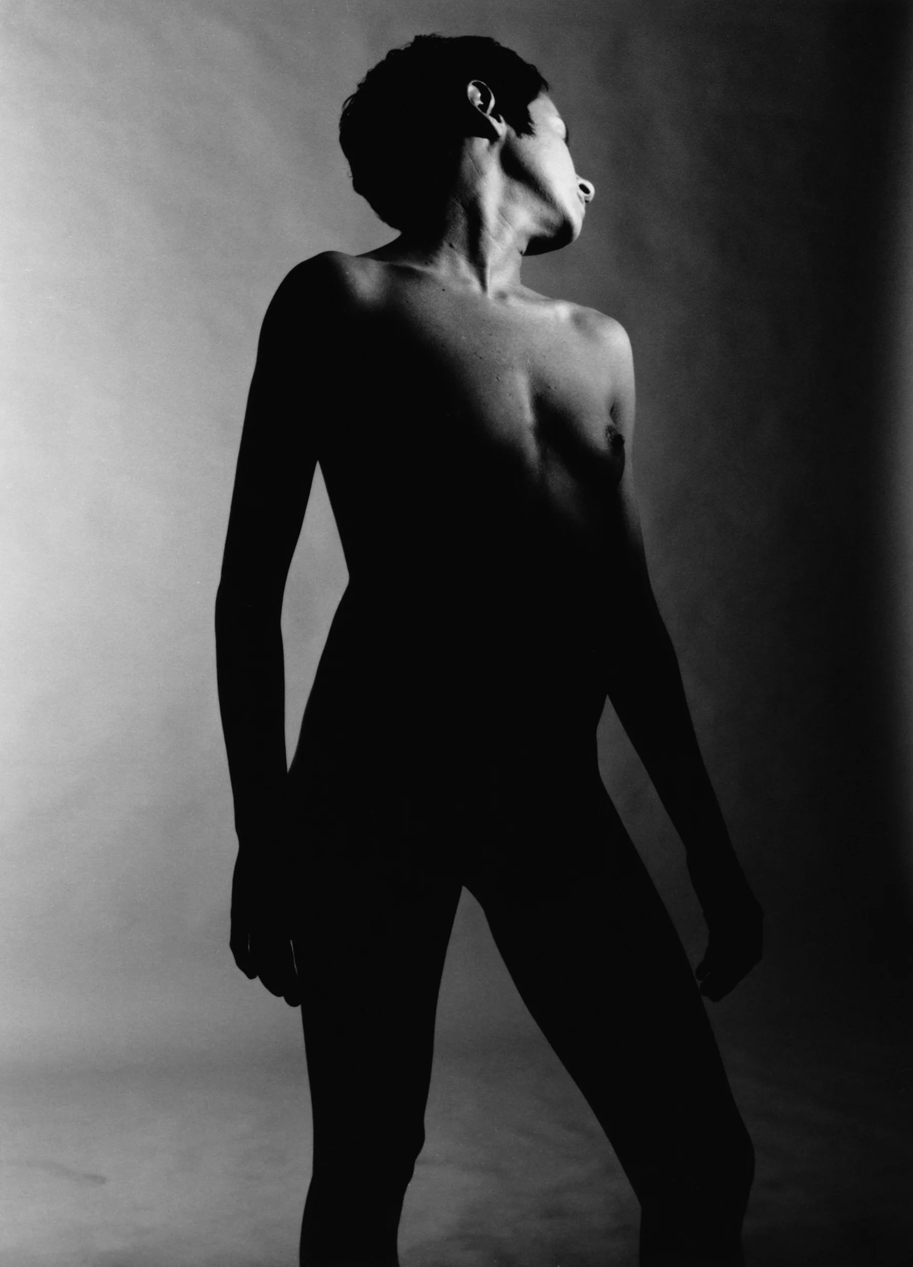 Figure/ Hand Study #4 Gelatin Silver Print 2007