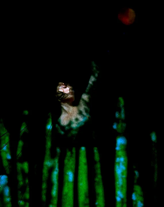 Figure Study #2 Light Chamber Type I 2013