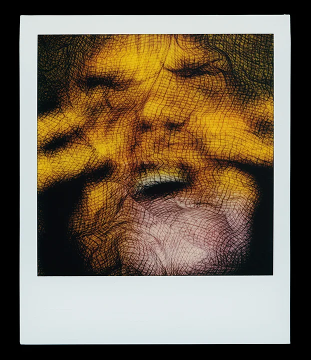 Virgo, series Solo Exhibition Escape Artist Studios, SX70 Film, monoprint Light Chamber, Type V 2019