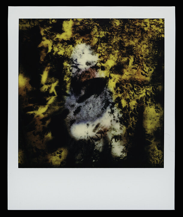  Virgo, series  Solo Exhibition  Escape Artist Studios,  SX70 Film, monoprint  Light Chamber, Type V  2019 