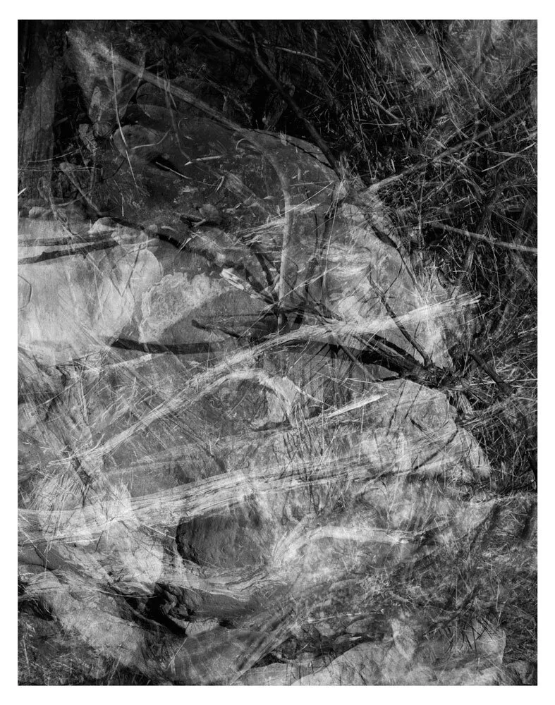 LC006web.jpg