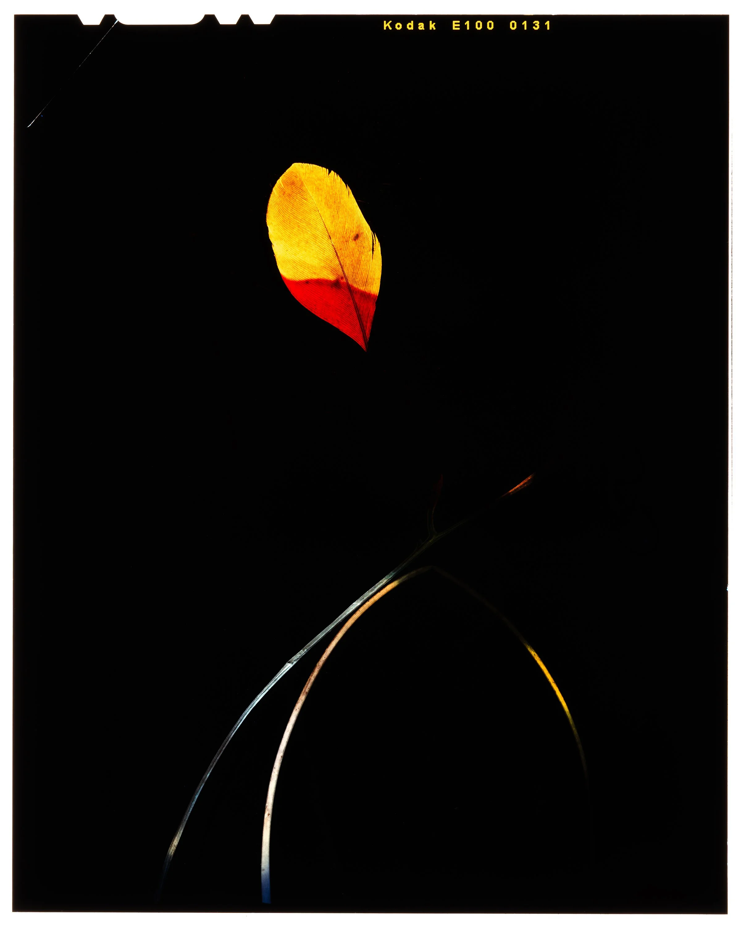 SMALL_Final_003 copy.jpg