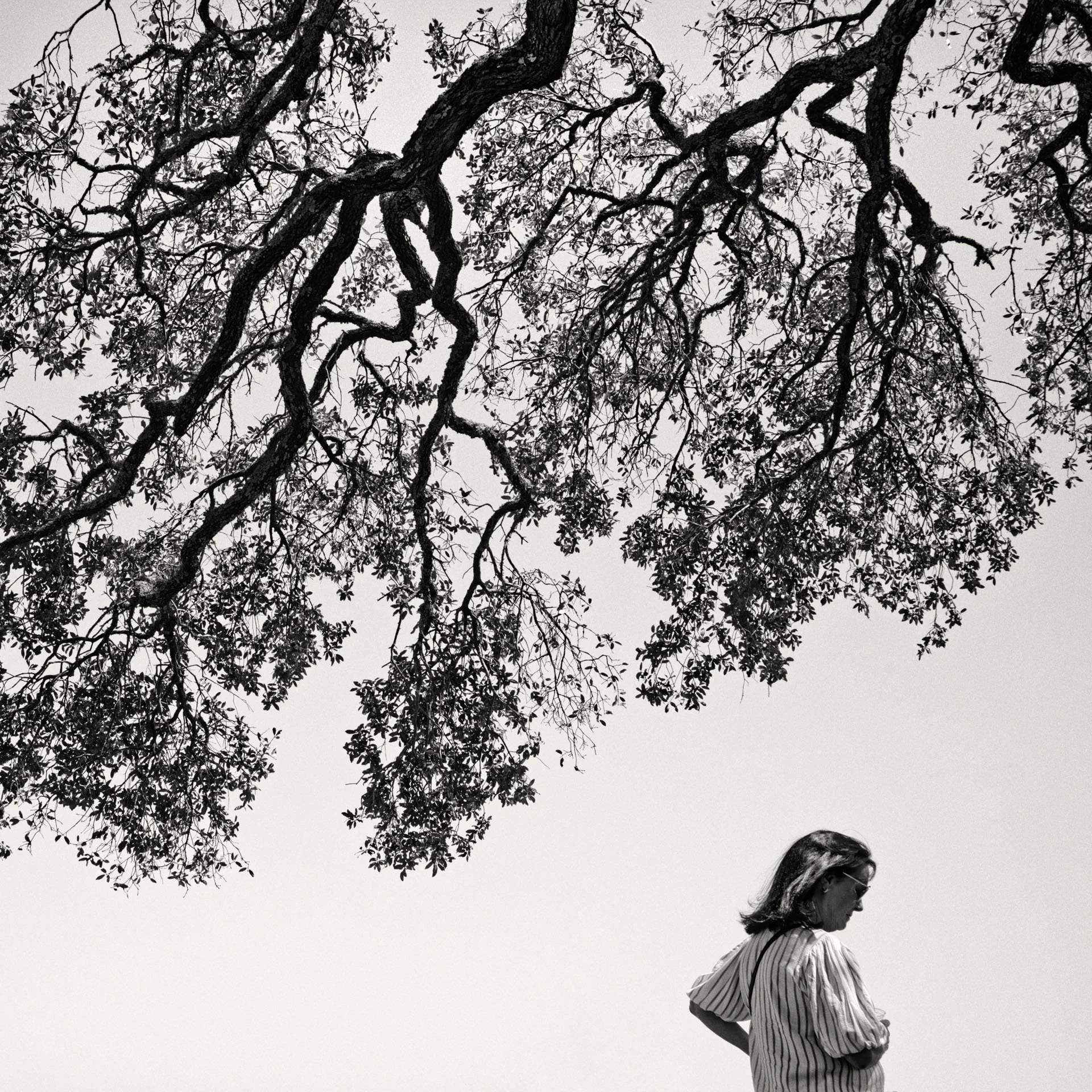 austin, tx / march 2026