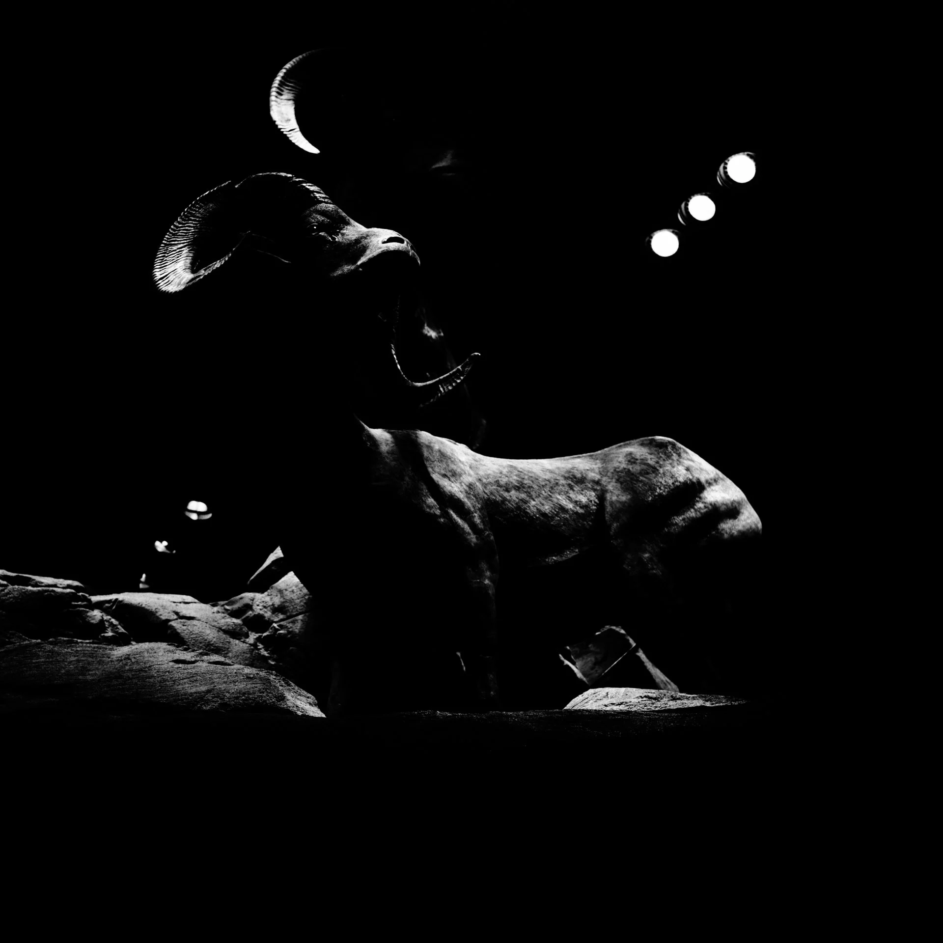 death valley, nv / march 2026