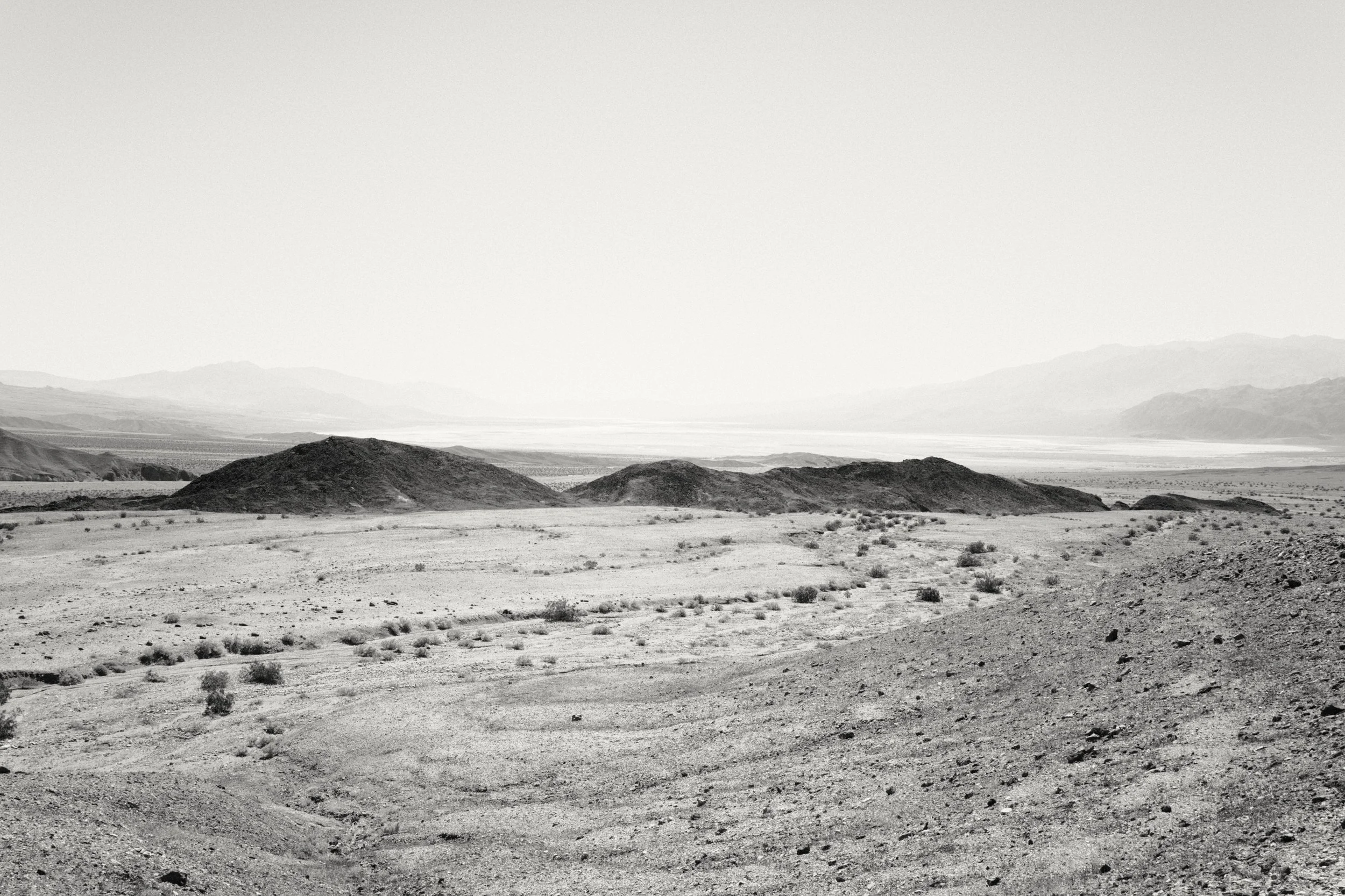 NIKON Z 7-_PJG3943_Nik-0001.jpg