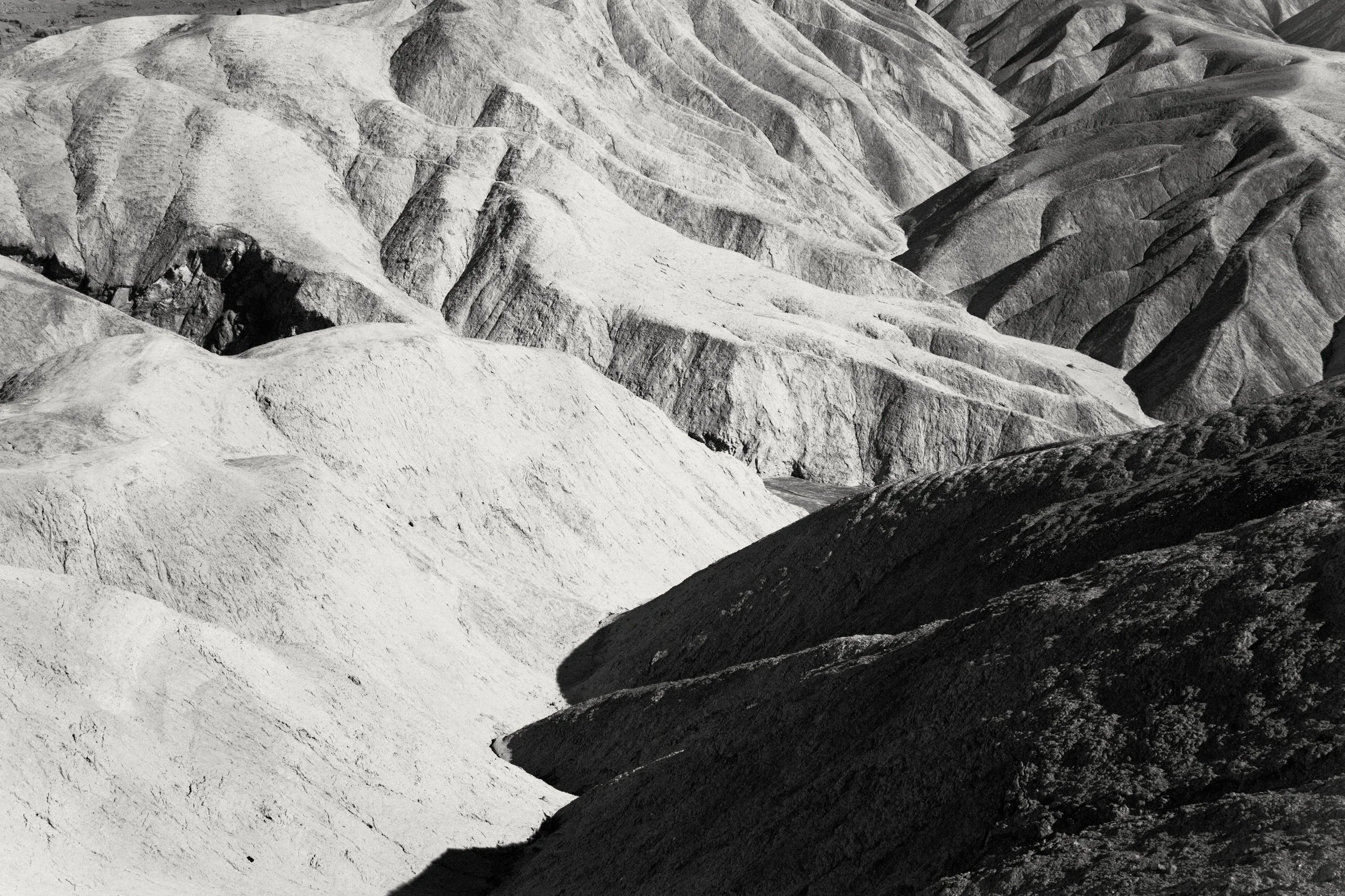 NIKON Z 7-_PJG4061_Nik-0001.jpg