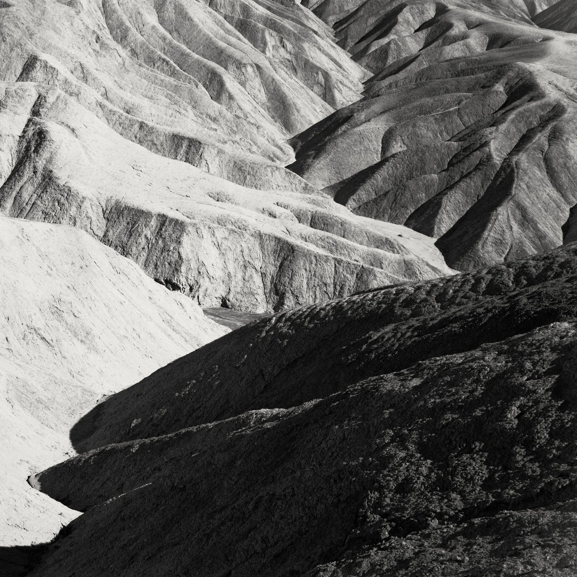 death valley, nv / march 2026