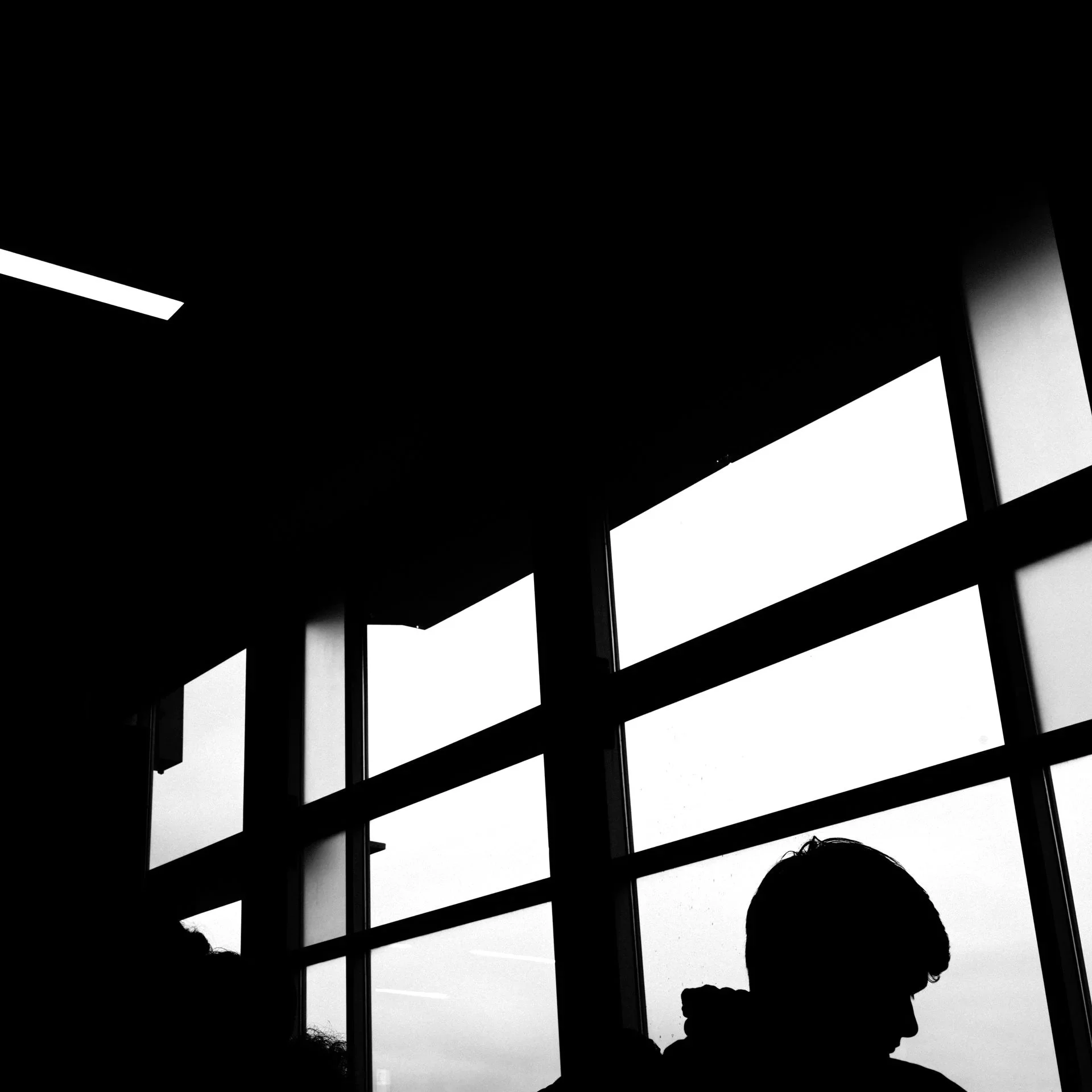 Z7Leica_CandidSQUARED_0007_B.jpg
