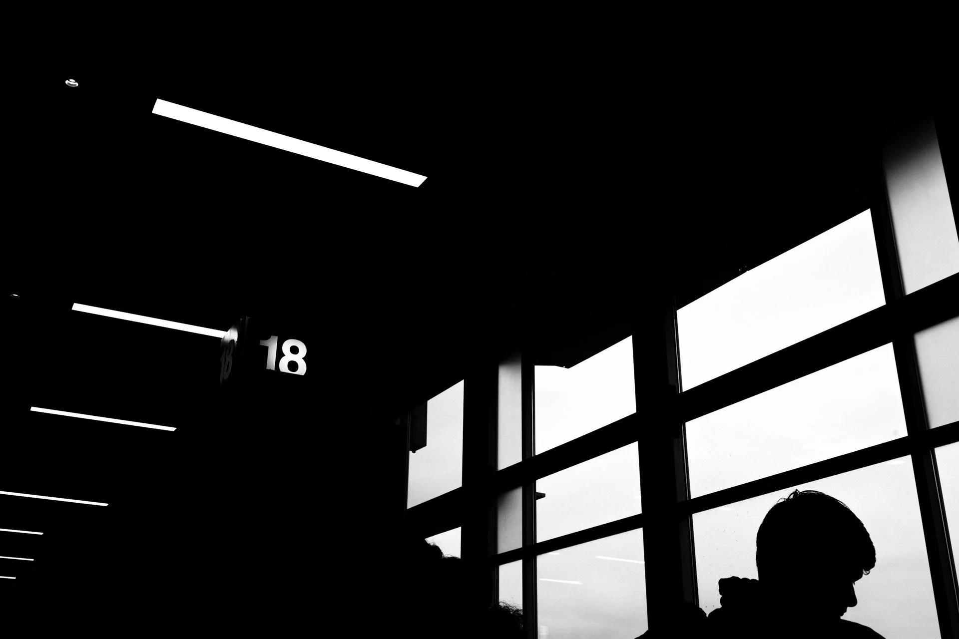 NIKON Z 7-_PJG3888-0001.jpg