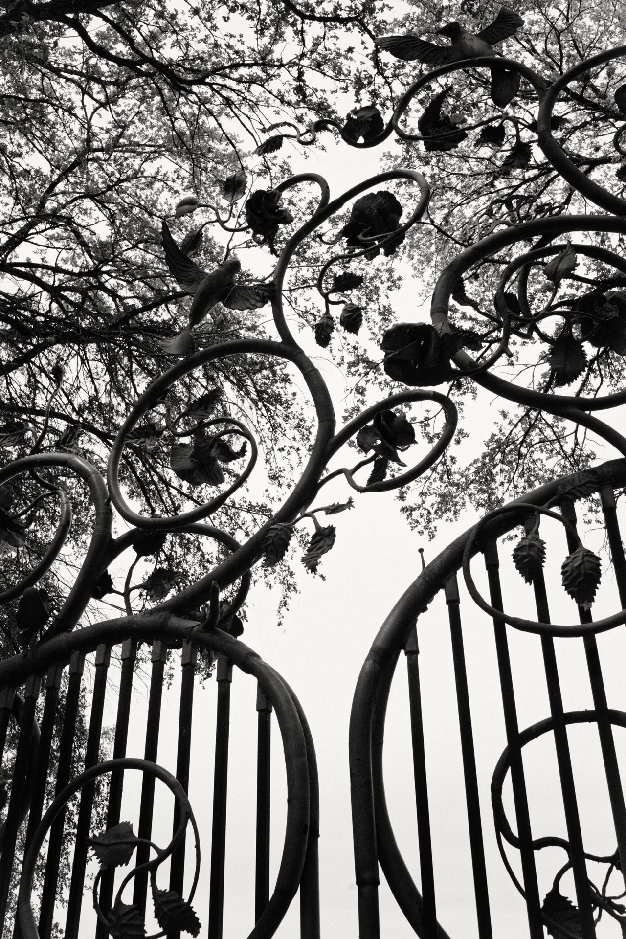 NIKON Z 7-_PJG3764_Nik-1-0001.jpg