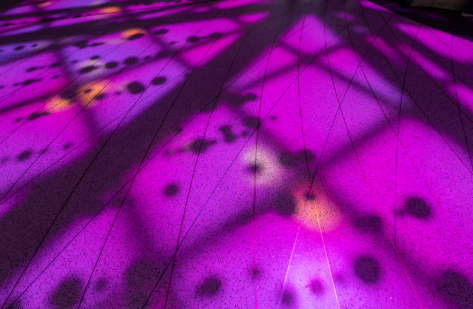 Hot pink background with criss-crossed shadows
