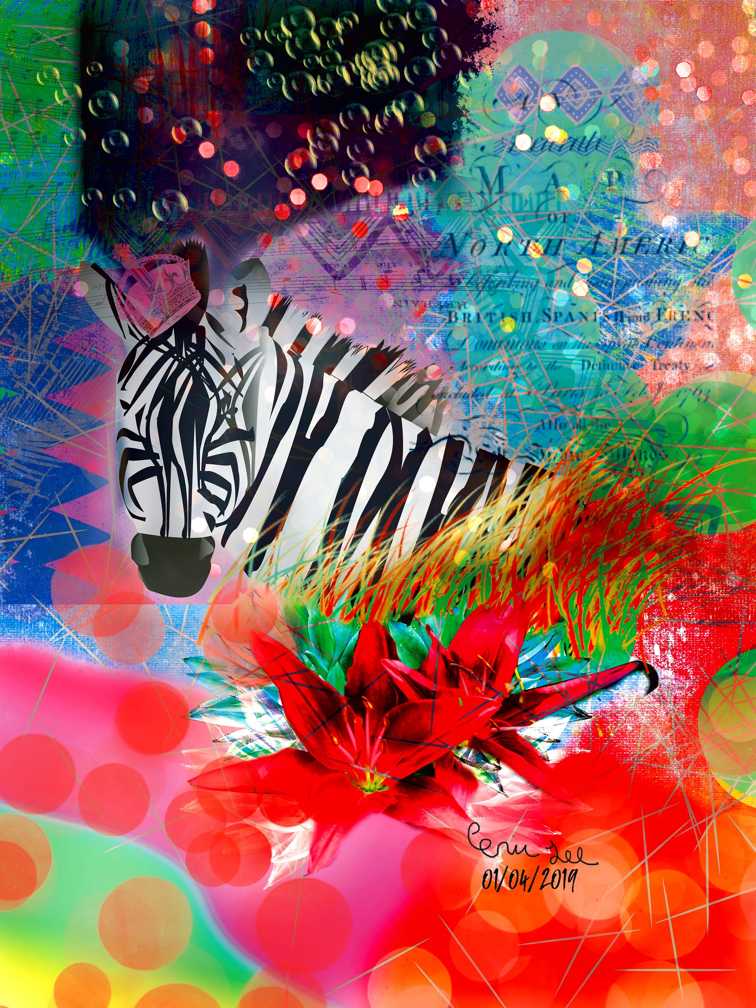 Zebra