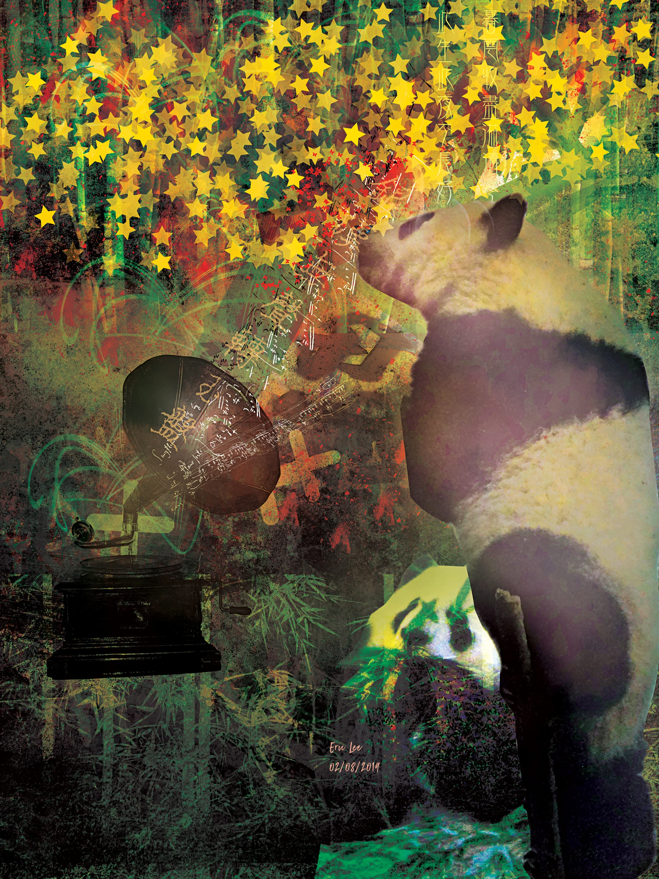Panda