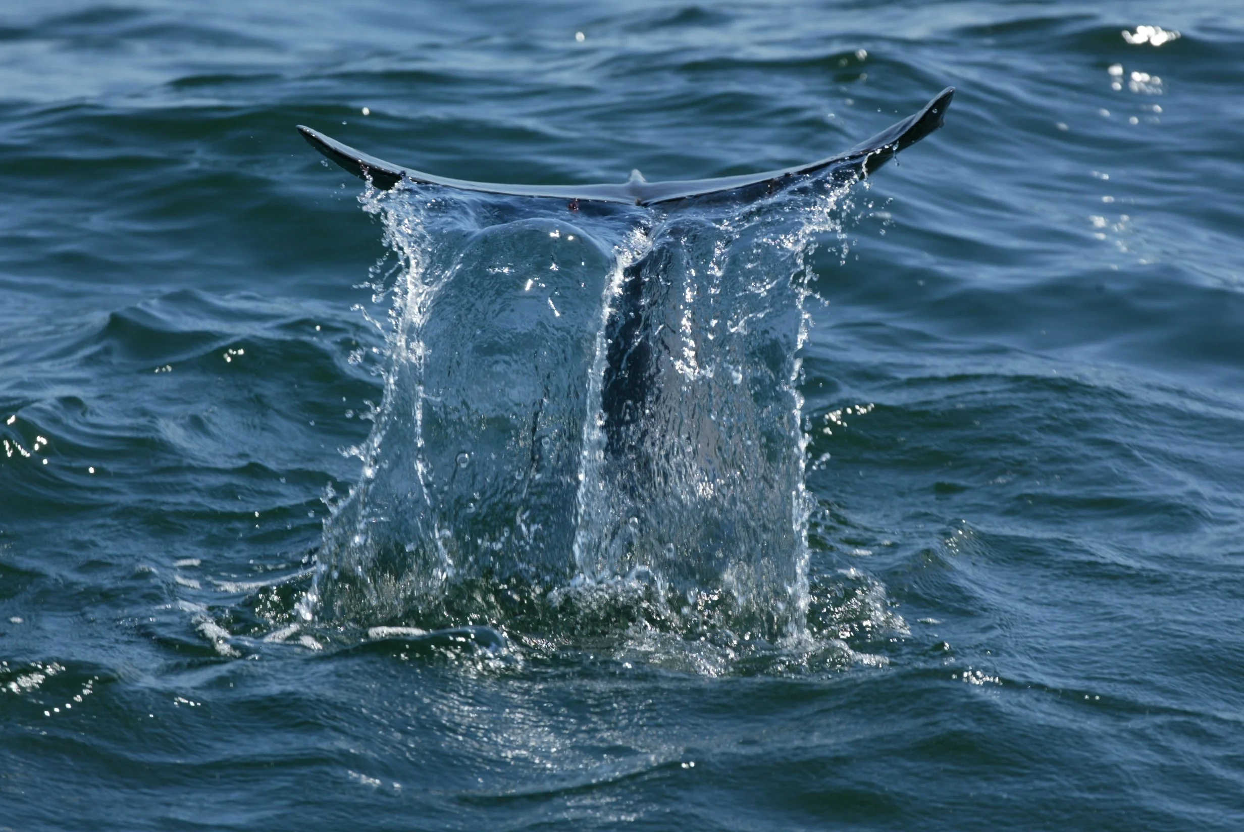 2003 04 14 S3050 Fluke Waterfall.JPG