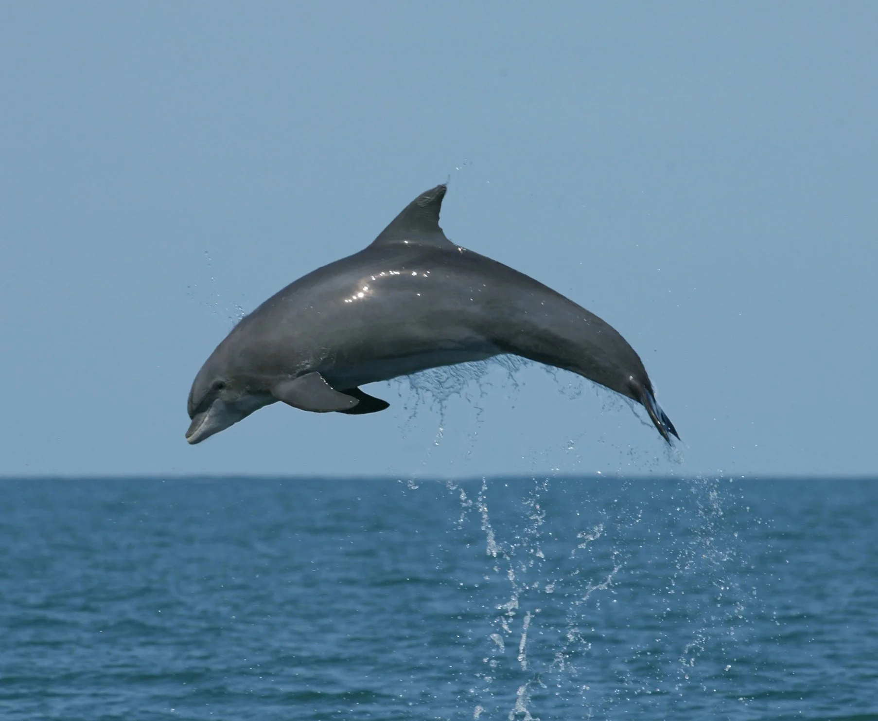 2002 10 29 S4048 Ocean Jumper Fixed.jpg
