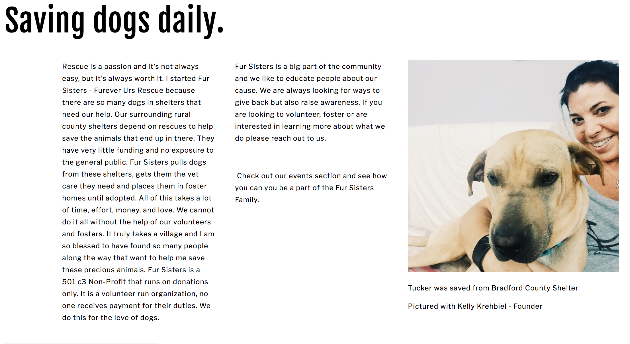 Screen Shot 2019-03-21 at 8.04.58 PM.png