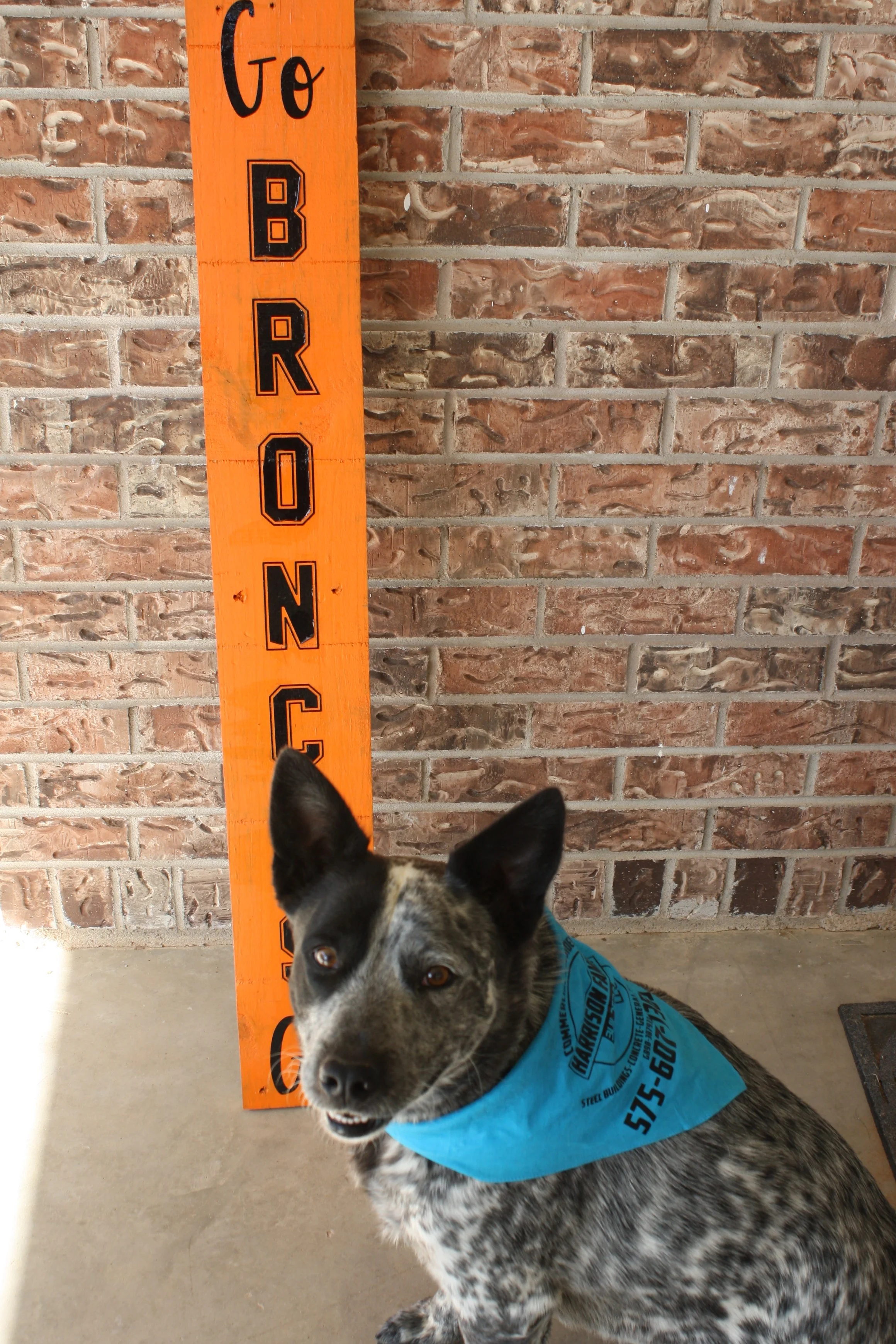 Denver's Big News:  Harrison Family Builders Expanding This Fall