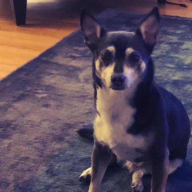 Food. NOW! Xoxo @madebyfranko