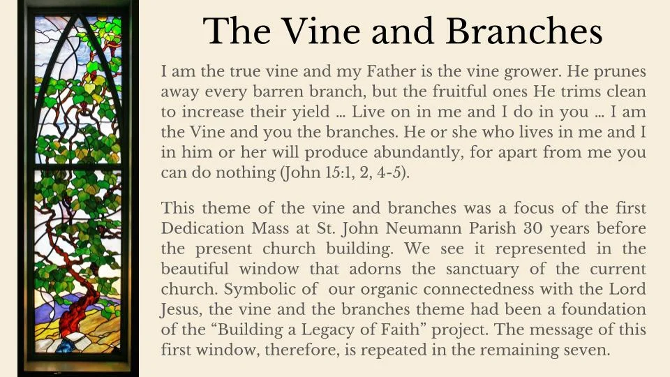 The Stained Glass of St. John Neumann (2).jpg