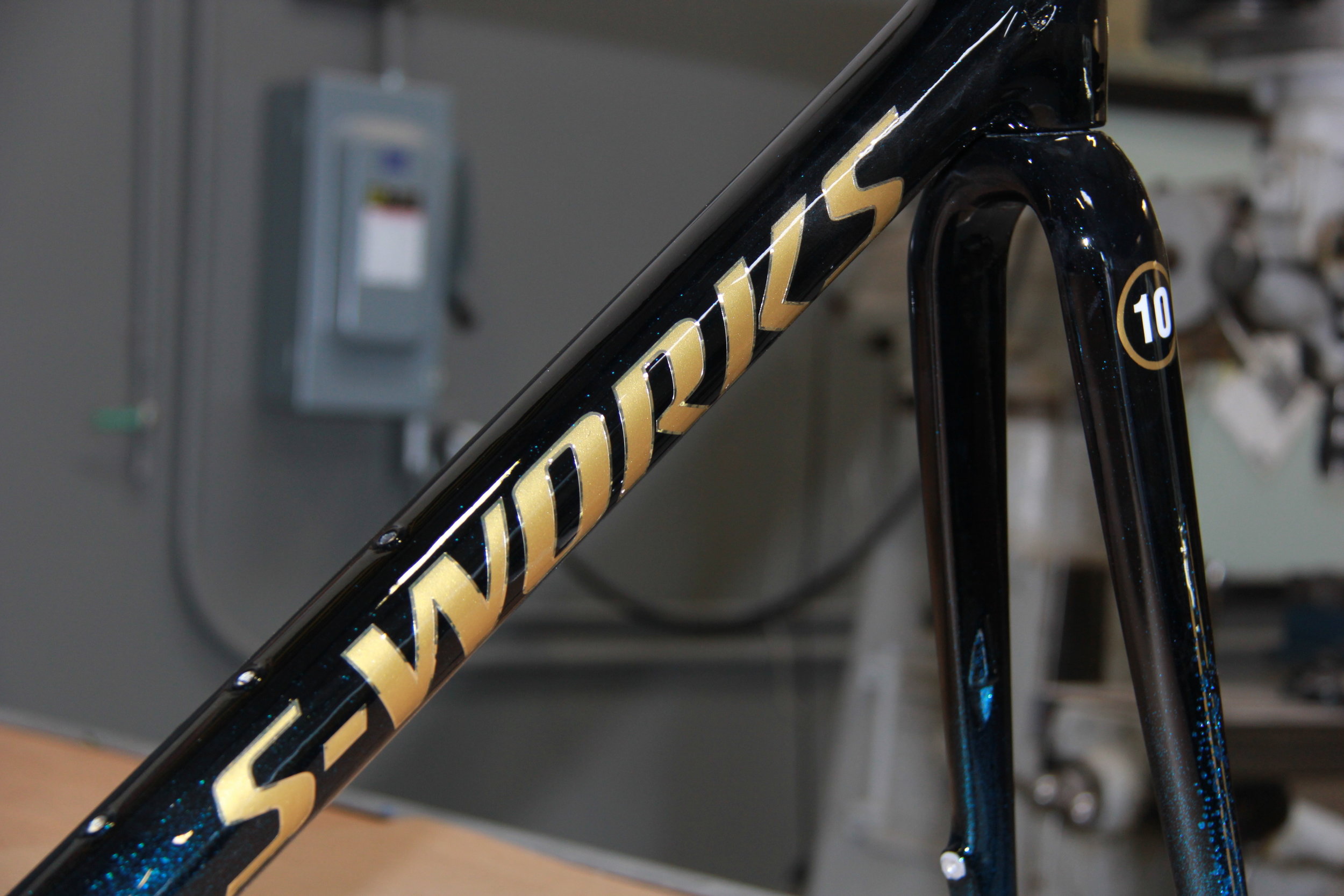 specialized epic custom