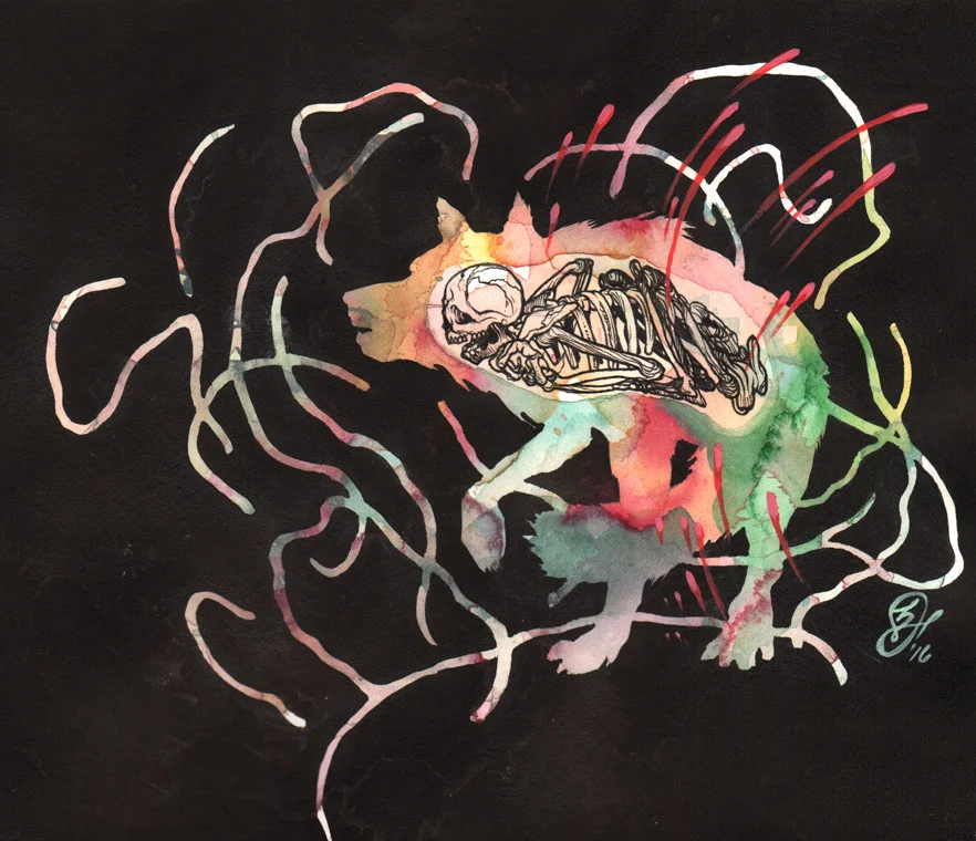 Shape-Shifter2_art.jpg