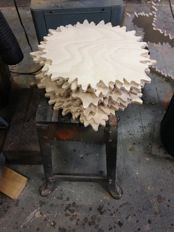 puffer woods6.jpg