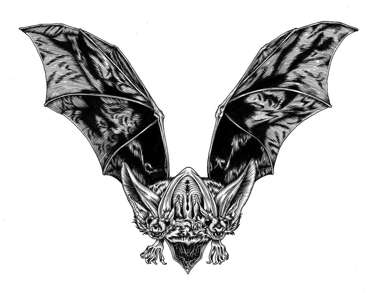 double-bat.jpg