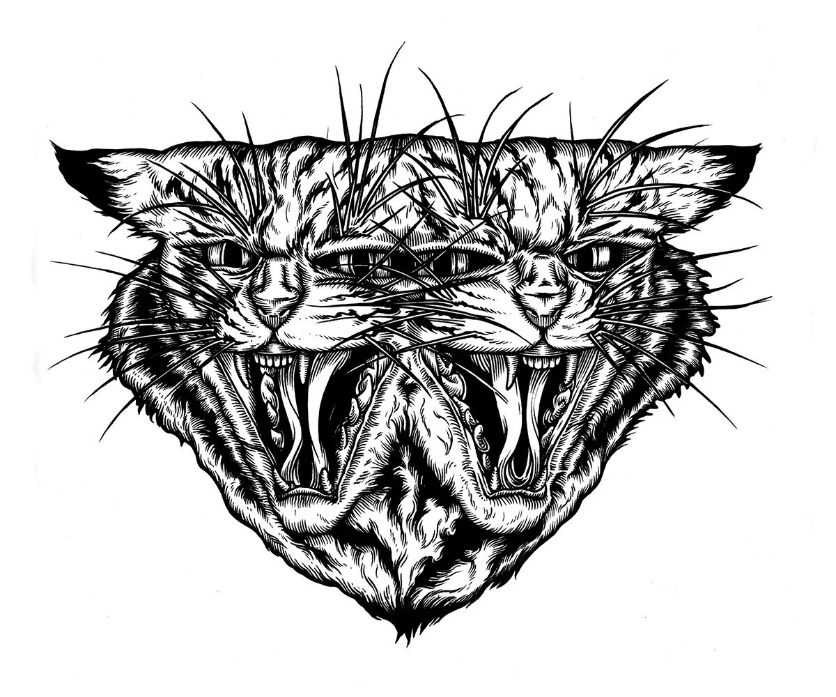 double-cat.jpg