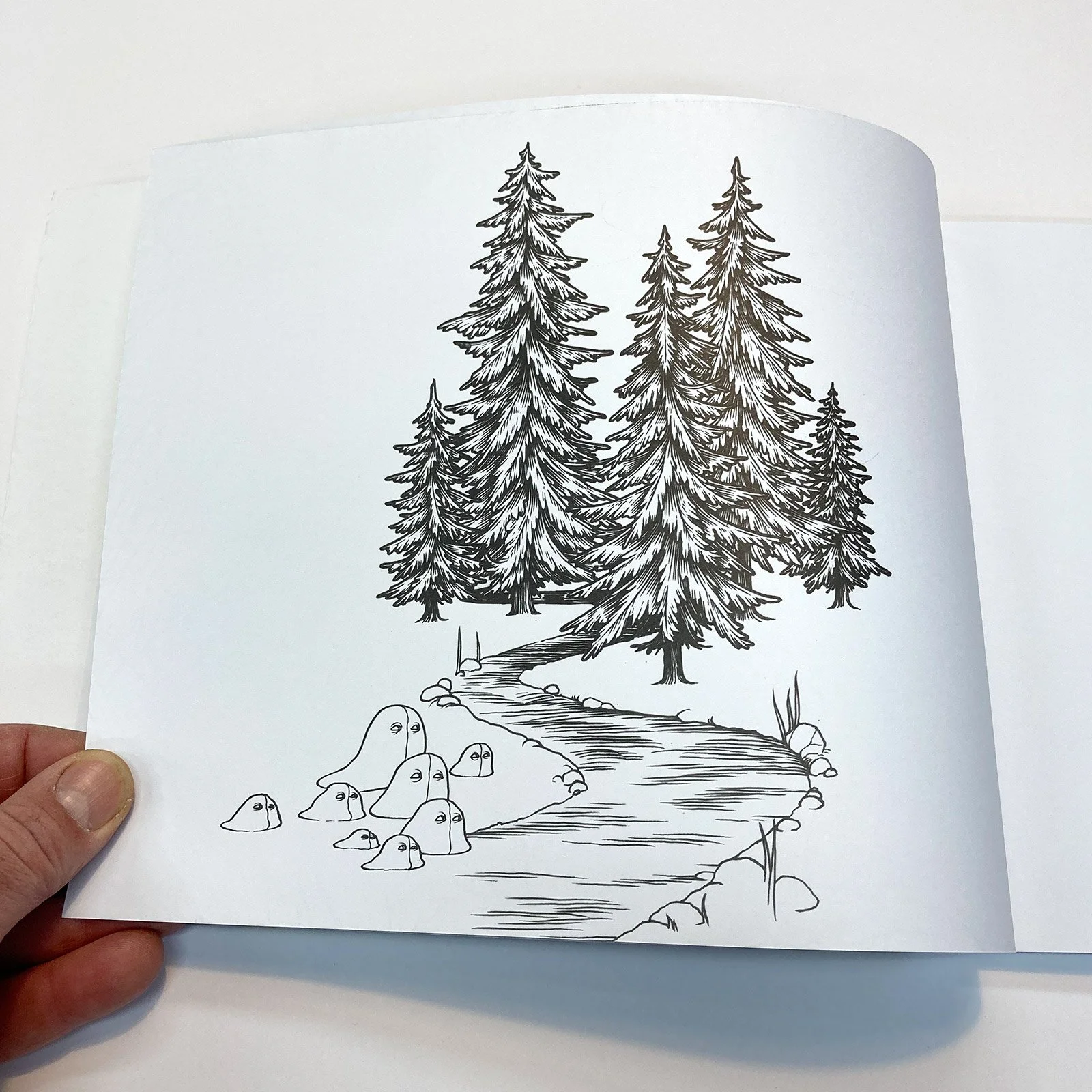 Ecosystems-Coloring-Book8.jpg