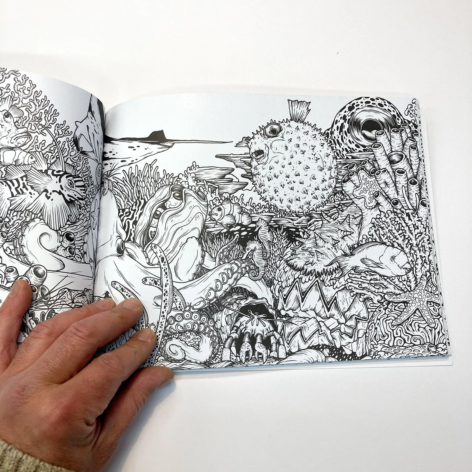Ecosystems-Coloring-Book13.jpg