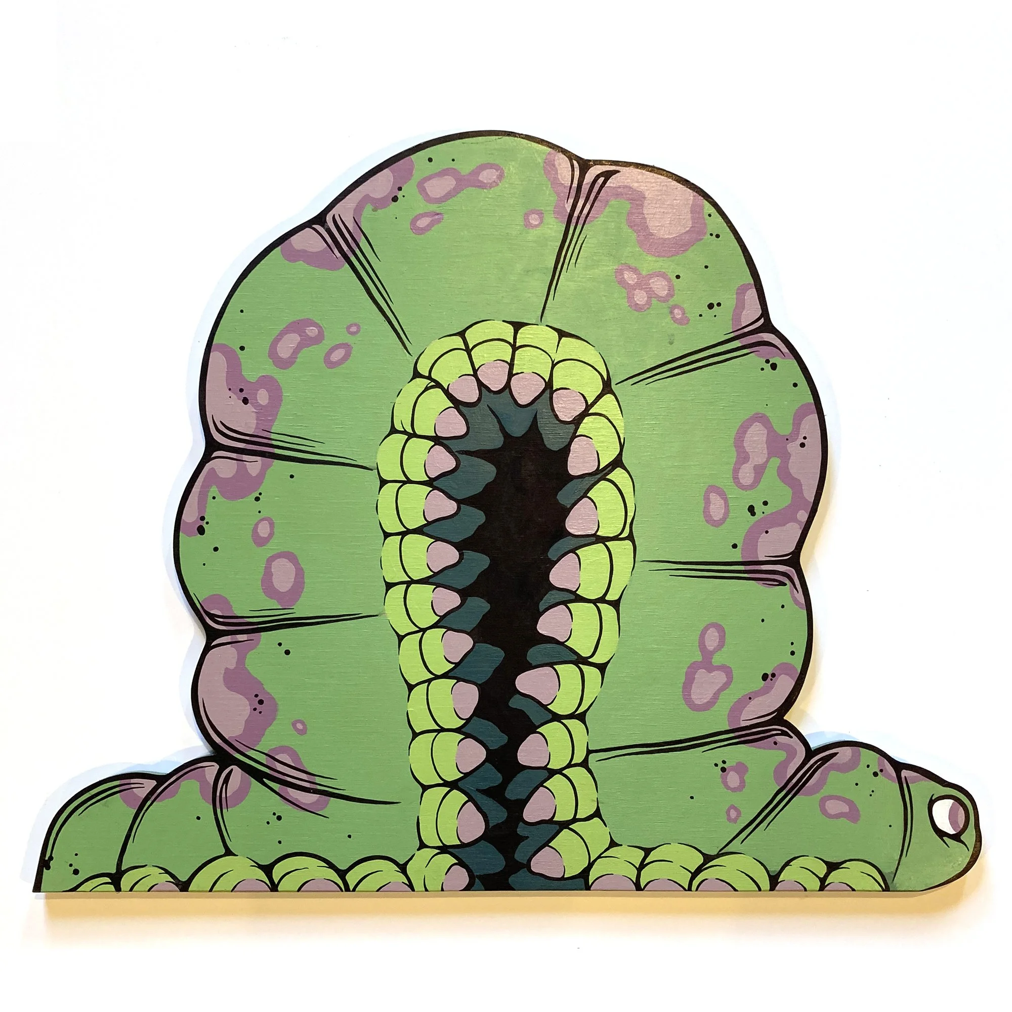 Inchworm1.jpg