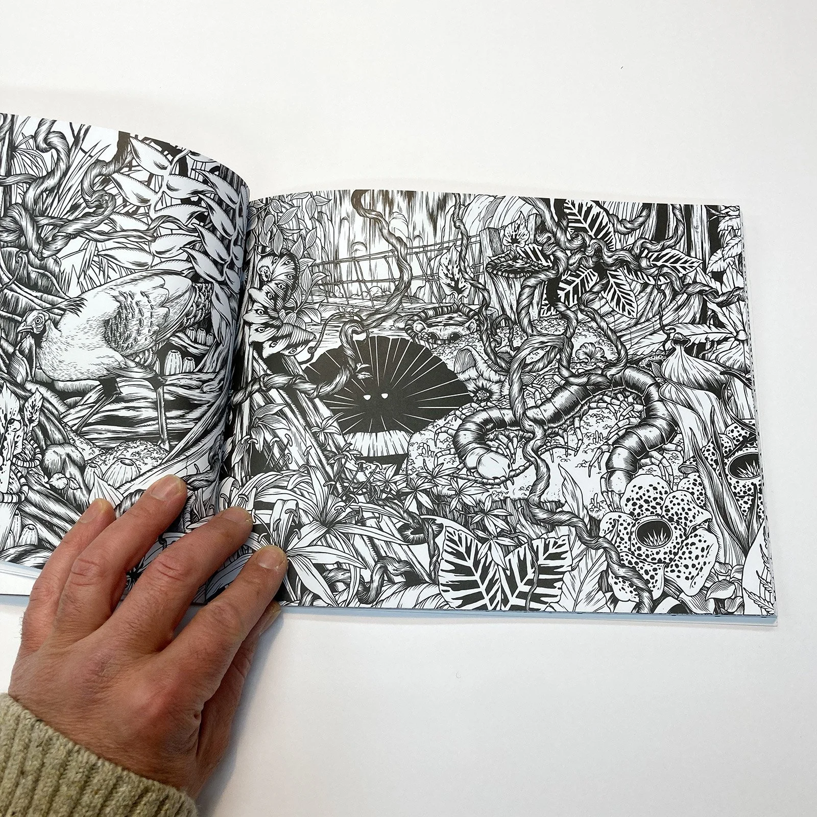Ecosystems-Coloring-Book10.jpg
