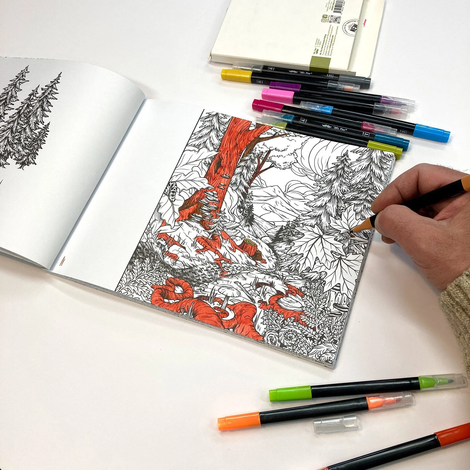 Ecosystems-Coloring-Book18.jpg