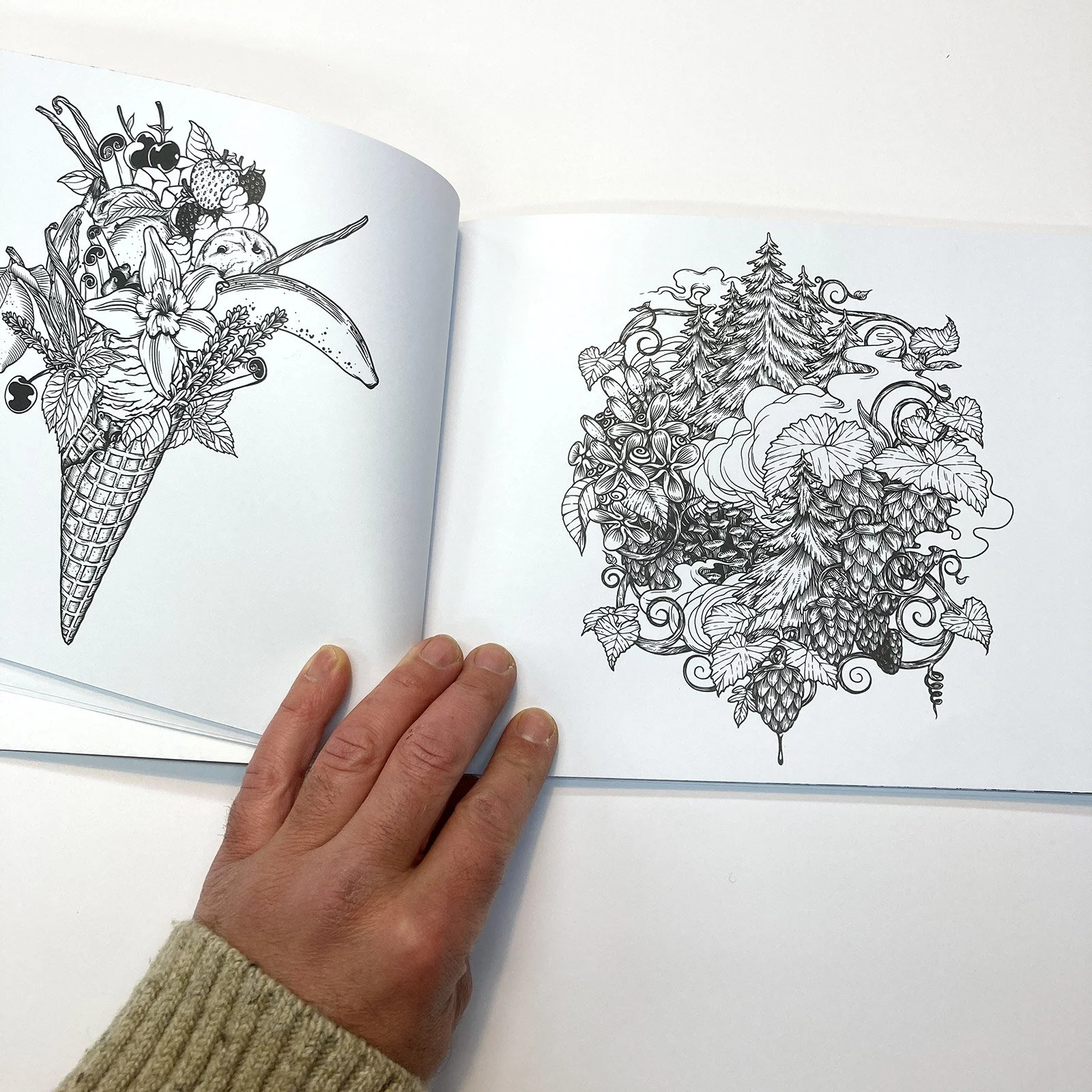 Ecosystems-Coloring-Book9.jpg