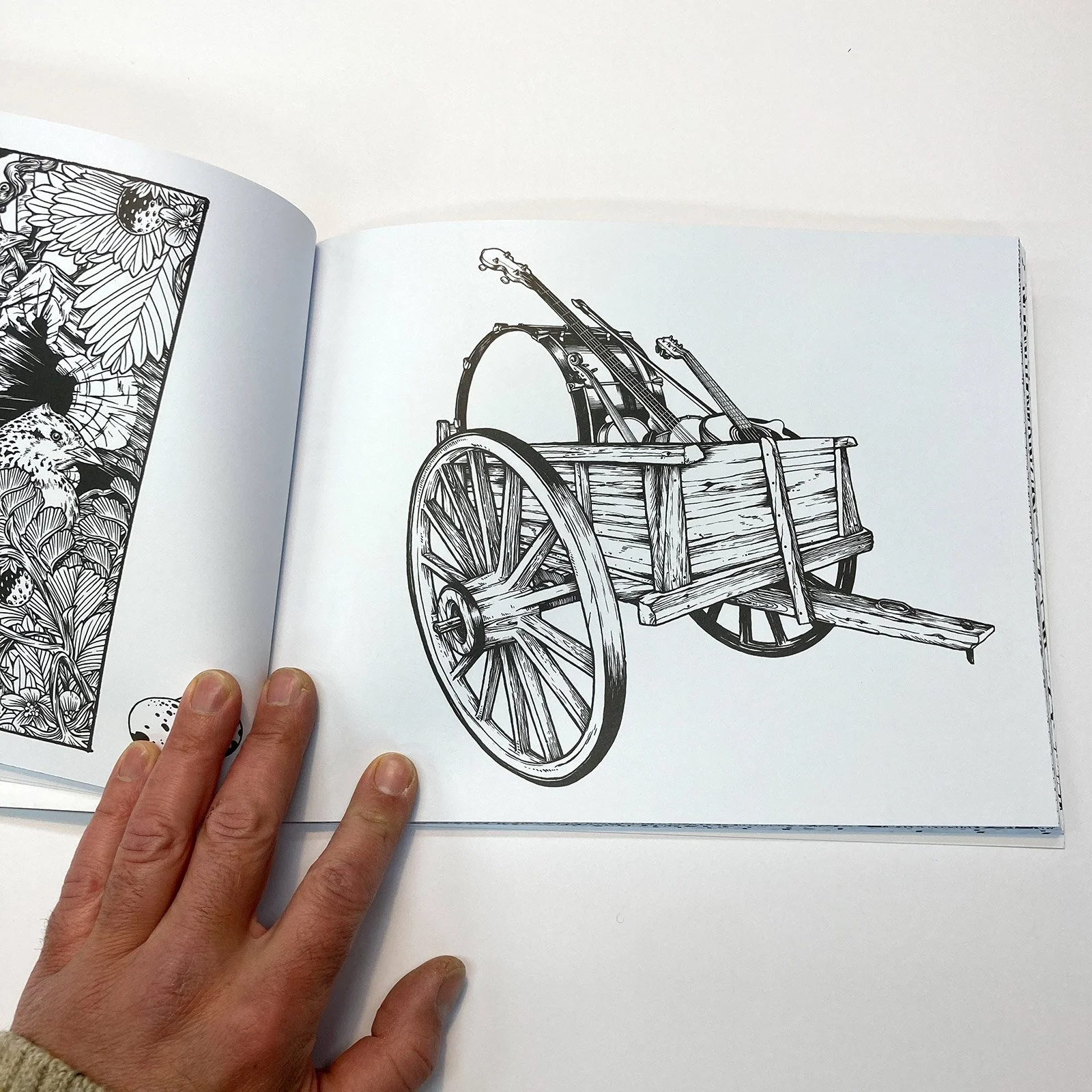 Ecosystems-Coloring-Book11.jpg