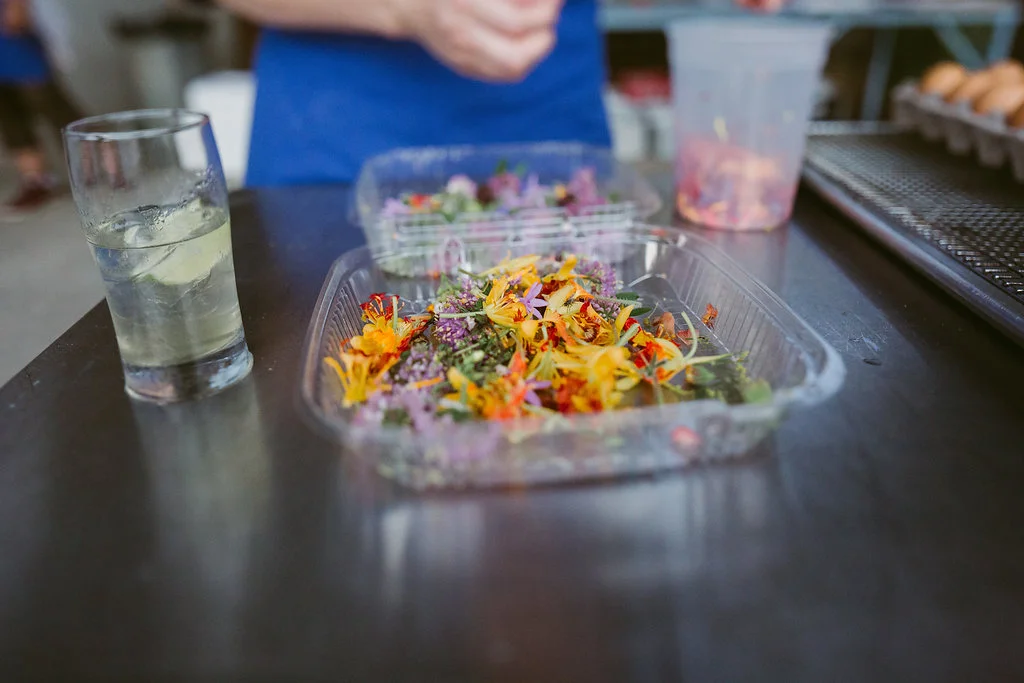 gdf-dinner-aug(14of51).jpg