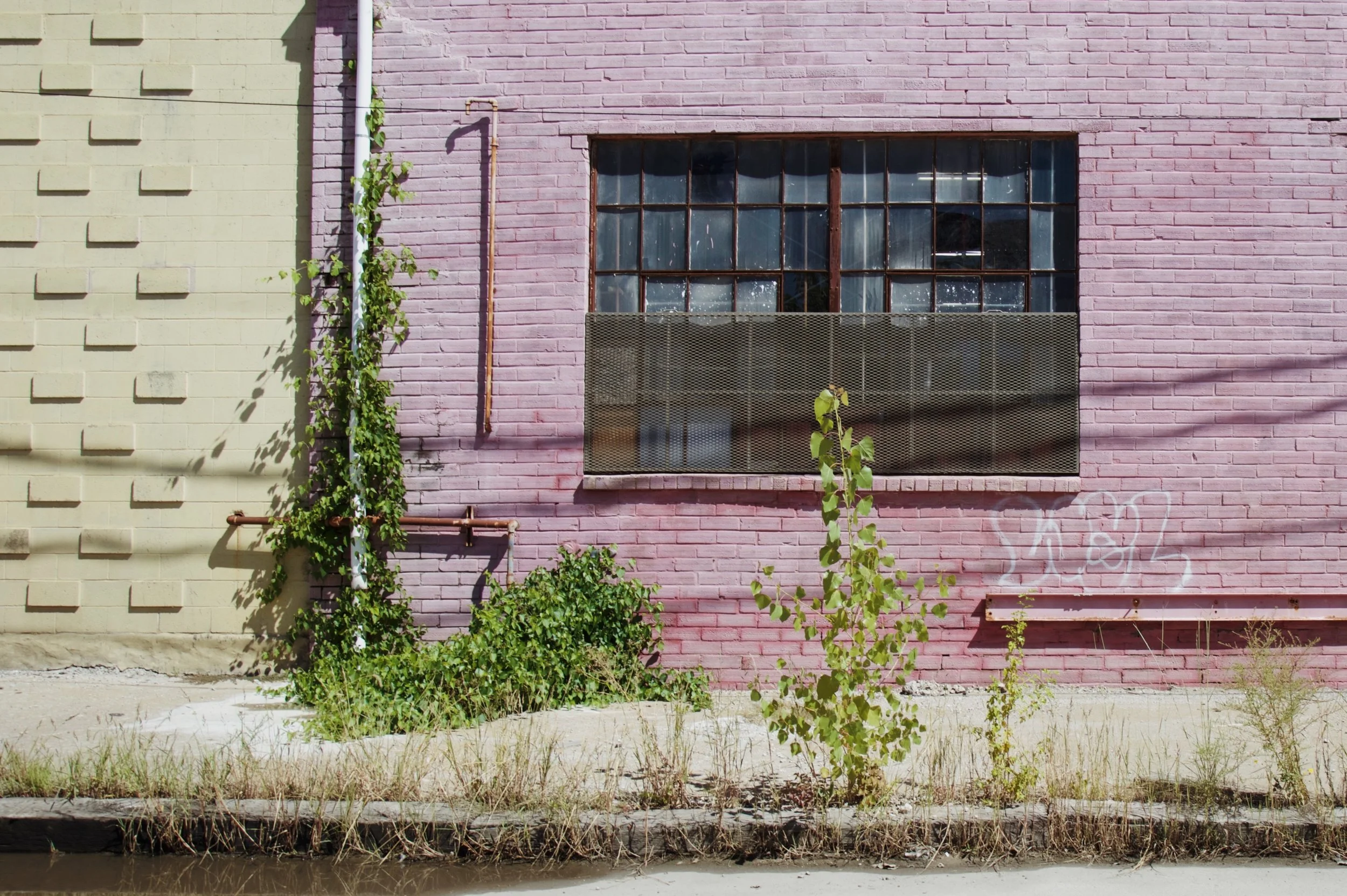 Pink_WestBottoms.JPG