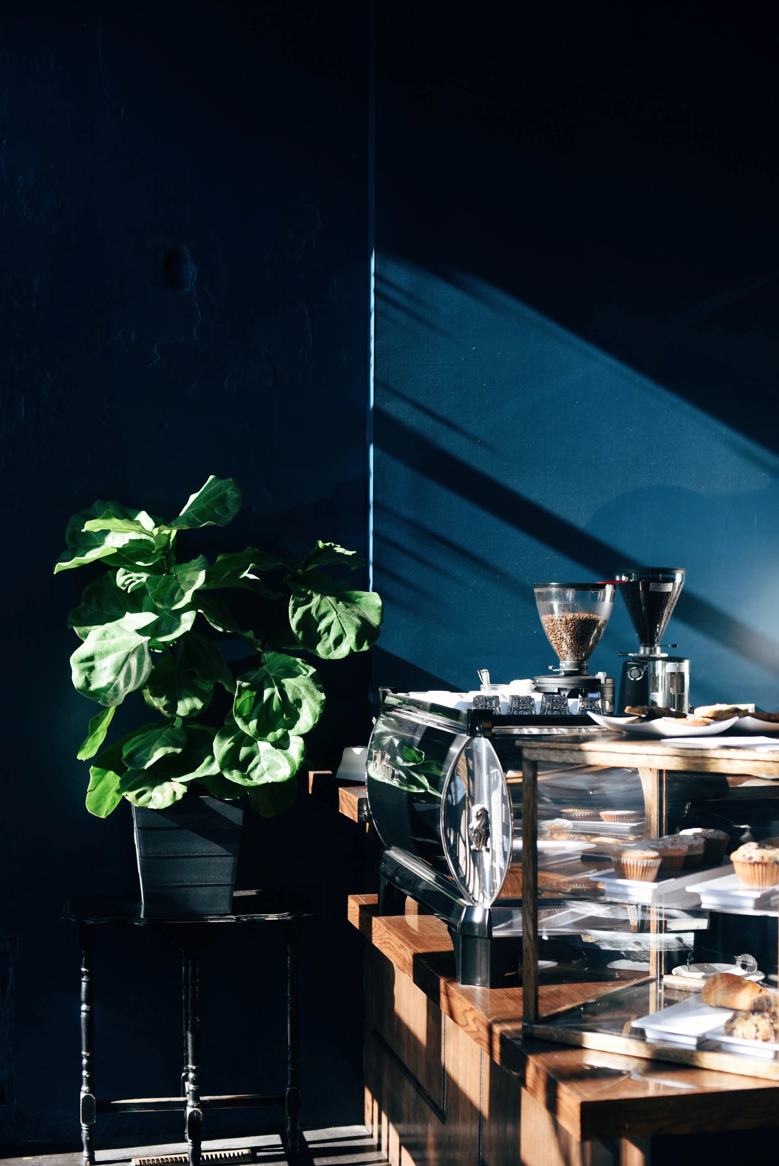 New in Town: Black Dolphin, Sundry, Nomad's