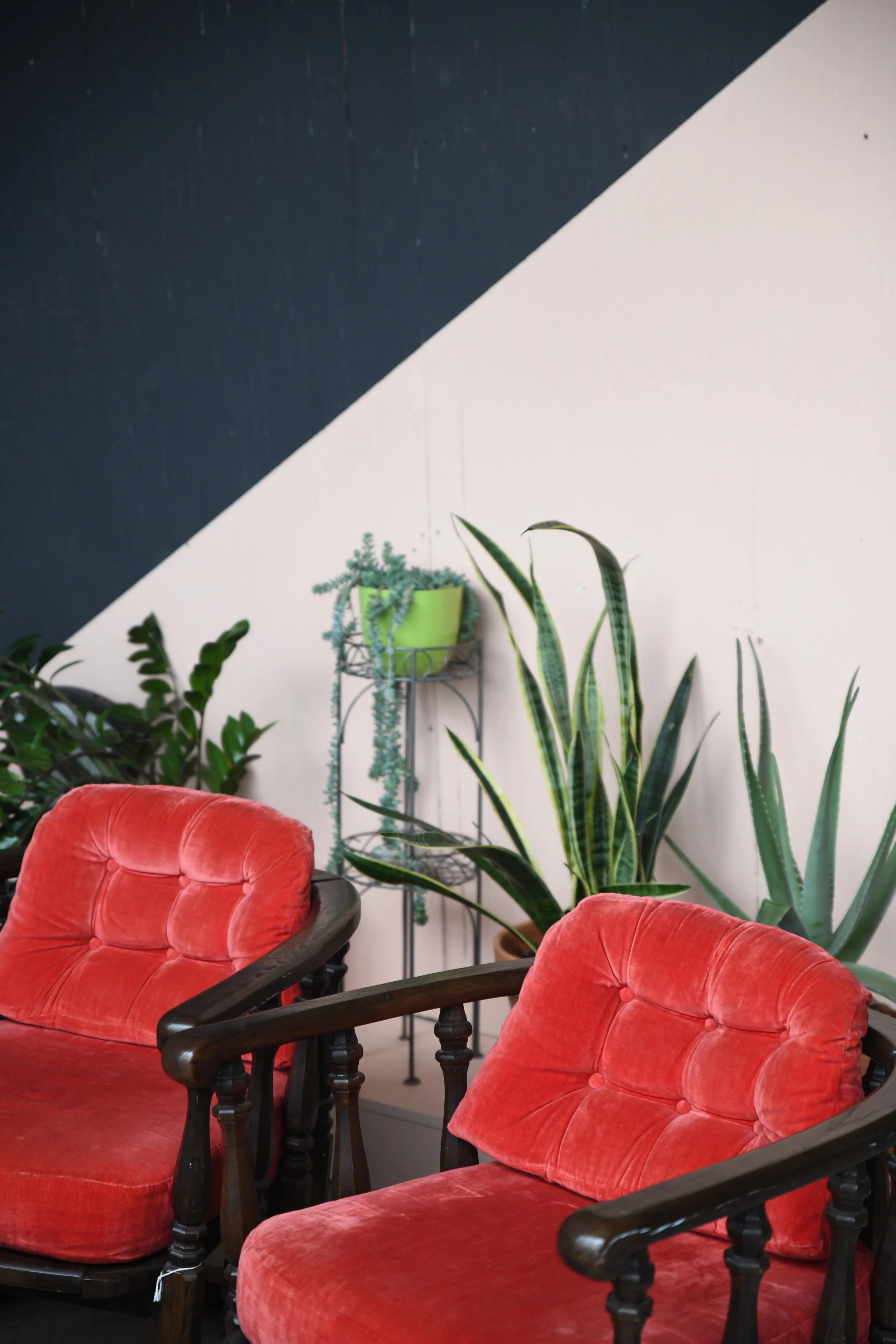 Maker Profile: Cherry Pit Collective