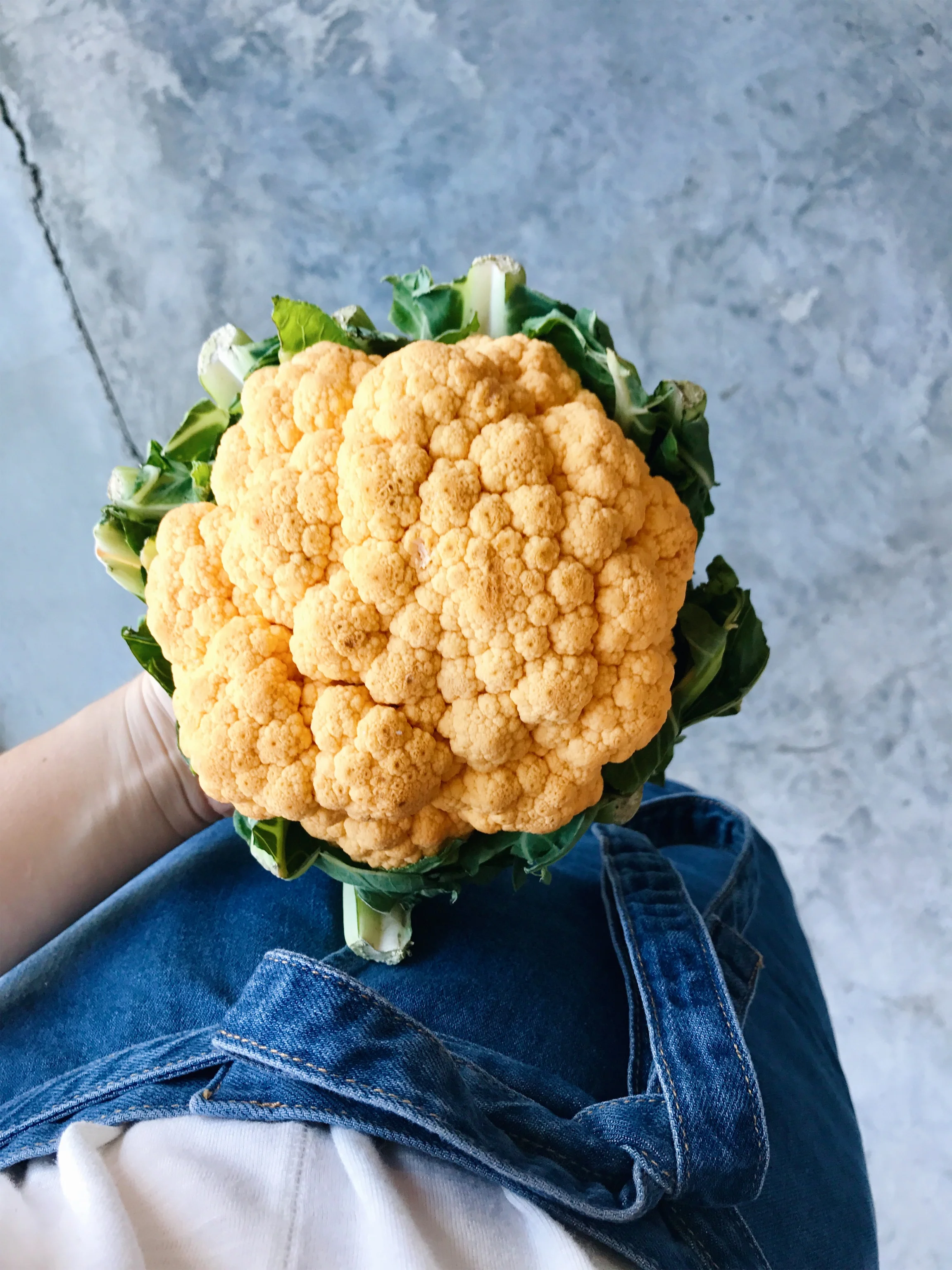MIKC-Farmers-Market-Guide-8.jpg