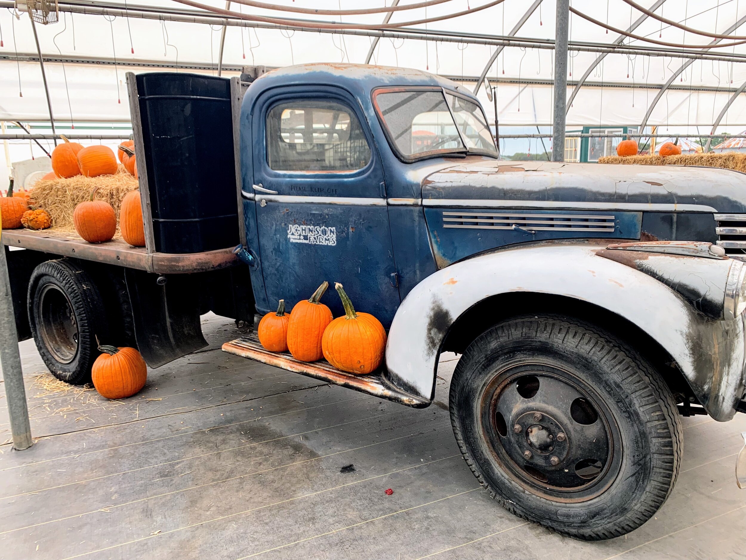 Johnson Farms Plants &amp; Pumpkins — MIKCexplore