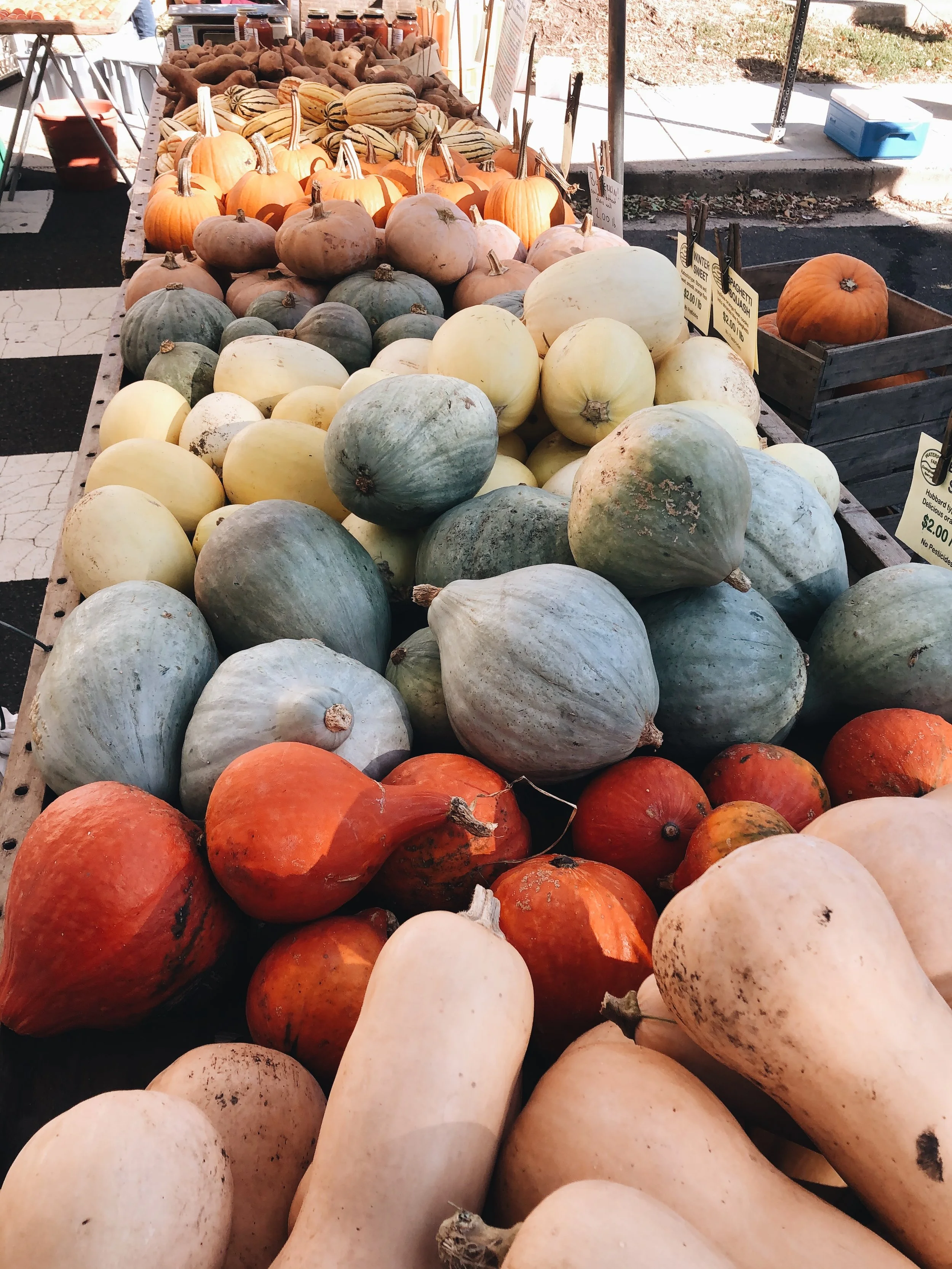 Farmer's Market Fall: What to Buy When the Weather Changes